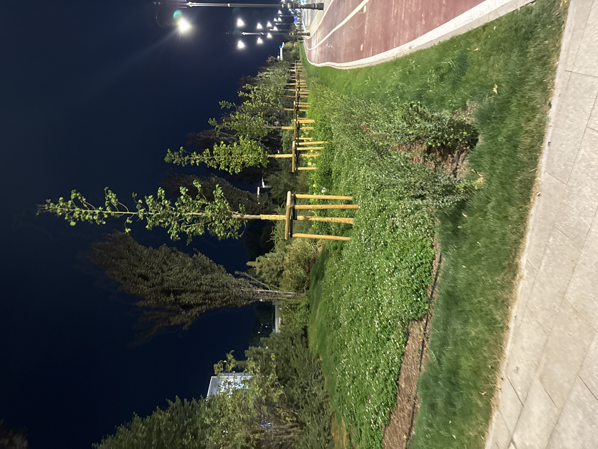 The image depicts a night scene in Almaty, Kazakhstan, likely in a park or recreational area. A red asphalt path, possibly for cycling or running, runs along the right side of the frame. Adjacent to the path is a strip of green grass, followed by a bed of low-lying green vegetation with small white flowers. Further to the left, a row of young trees, supported by wooden stakes, are planted in a line. Behind the trees, there are larger trees and bushes, and in the distance, a modern building with illuminated windows can be seen. Streetlights illuminate the area, casting a warm glow on the scene. The sky is dark, indicating nighttime.