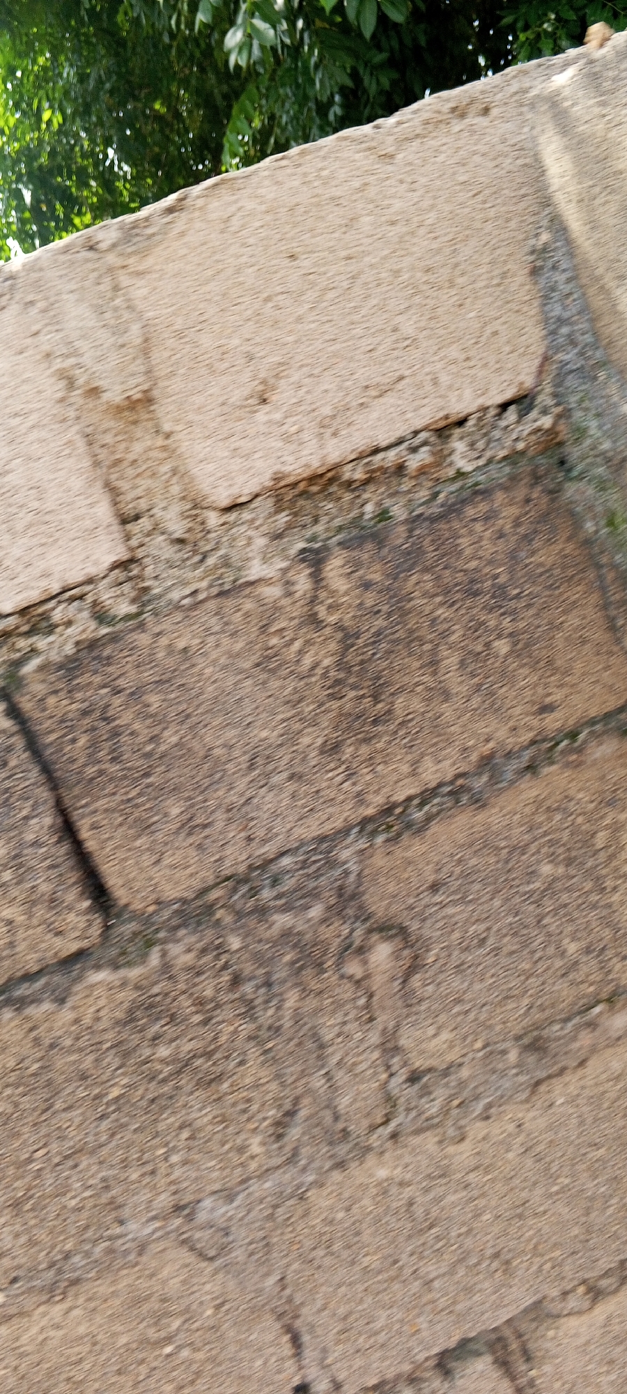 The image shows a close-up view of a textured stone wall, likely a retaining wall or part of a building's exterior. The stones are of varying shades of brown and beige, with visible grout lines and signs of weathering. Some of the stones appear rough and porous, while others have a smoother, more worn surface. There are small patches of green moss or algae growing in the crevices between the stones, suggesting a humid or damp environment.
At the top of the image, out of focus, are the lush green leaves of trees, indicating an outdoor setting with foliage. The lighting suggests it is daytime, possibly late afternoon given the angle of any subtle shadows cast on the wall. The overall impression is one of an aged structure in a natural, possibly somewhat overgrown, environment. There is no text visible in the image. The scene is static, with no discernible activity taking place. The focus is entirely on the texture and materiality of the stone wall and the adjacent natural elements.