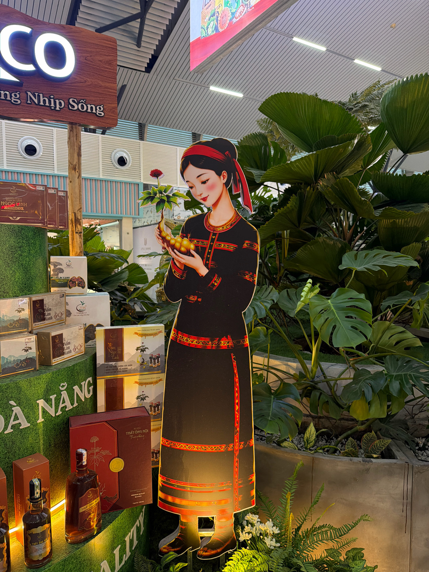 The image shows a display featuring traditional Vietnamese culture and products, possibly in a shopping mall or exhibition hall in Da Nang, Vietnam. A large cardboard cutout of a young woman in traditional ethnic attire is the central subject. She wears a red headband and a dark garment with intricate red and gold embroidery. She is holding a small bouquet with a red flower and a cluster of yellow, fruit-like objects.
To the left of the cutout, there is a tiered display of various product boxes. Some of these boxes have Vietnamese text, including "NGỌC LINH" and "THIMICO." Below these are bottles of what appears to be liquor, with labels indicating "RƯỢU" and "THẤT ÓNG HỎI." A large red box is also present. The word "ĐÀ NẴNG" is prominently displayed on a green platform.
The background features lush green foliage, including large fan-like leaves and a Monstera plant, suggesting an indoor garden or decorative element. Above, a ceiling with modern lighting fixtures and a wooden sign with the illuminated letters "CO" and text "ng Nhịp Sống" are visible. A brightly colored banner is also present in the upper portion of the image. The overall impression is a curated display aimed at showcasing Vietnamese heritage and products.