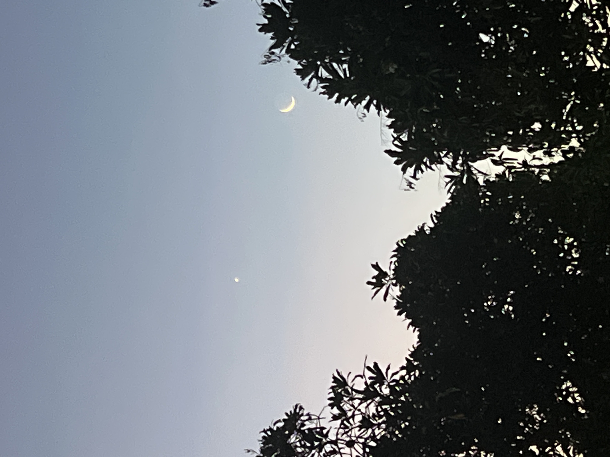 The image, likely taken in Kuta Selatan, Indonesia, shows a crescent moon and a bright planet (possibly Venus or Jupiter) in the twilight sky, framed by the dark silhouette of trees. The sky graduates from a light blue to a pale yellow near the horizon. No people are visible.