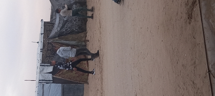 The image depicts three young males walking from left to right across a dirt path in Khan Yunis, Palestinian Territory. The individual on the left wears a black and white patterned long-sleeved shirt, dark pants, and dark sneakers with white soles. The central figure wears a light grey hooded sweatshirt, dark pants, and dark boots. The individual on the right, partially visible behind a structure, wears a light-colored long-sleeved shirt and dark pants. In the background, a series of makeshift shelters or tents are constructed from corrugated metal sheets, various patterned fabrics, and light-colored tarpaulins, supported by wooden frames, with multiple thin poles extending vertically from their roofs. The ground is light brown packed dirt. The sky above is overcast and light grey. A partial view of additional feet/shoes is visible in the bottom right corner of the frame.