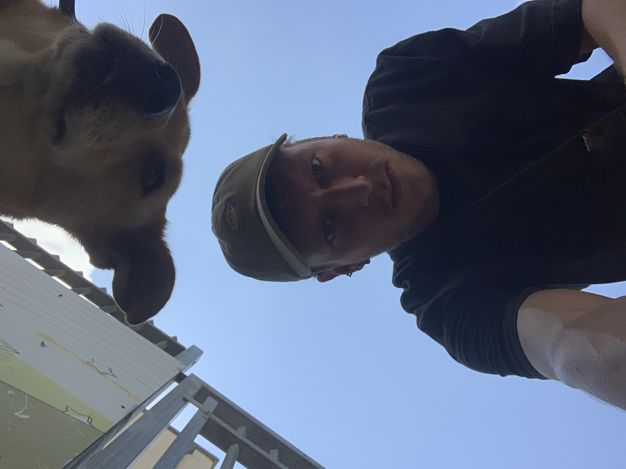 A low-angle shot depicts a man and a dog looking down at the camera. The man wears a dark t-shirt and a khaki Dickies baseball cap. The dog is light brown, with its face positioned close to the camera. Behind them, a clear blue sky is visible, along with a partially visible metallic structure and a sign with drawings. The location appears to be outdoors, potentially in Tel-Aviv, Israel, based on the architectural style of the building in the background.