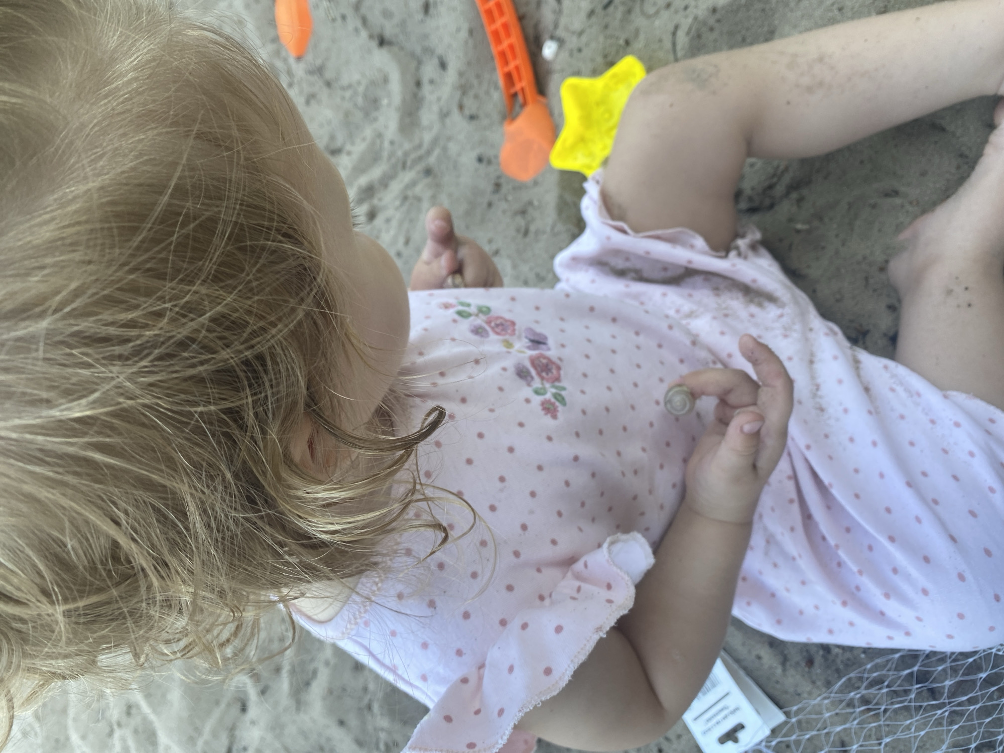 A close-up, high-angle shot shows a young child, appearing to be a toddler, sitting in sand. The child has blonde hair and is wearing a light pink dress with small, darker pink polka dots and a ruffled sleeve. The dress also has a floral design on the front. The child's right hand is visible, holding a small, coiled shell. The background consists of sand and some brightly colored children's beach toys, including an orange shovel and a yellow star-shaped mold. A white mesh bag and a small white box are also present in the sand near the child. The scene is likely outdoors, given the sand and beach toys. The image does not contain specific visual cues that would allow for definitive location within the city of Dnipro, Ukraine.