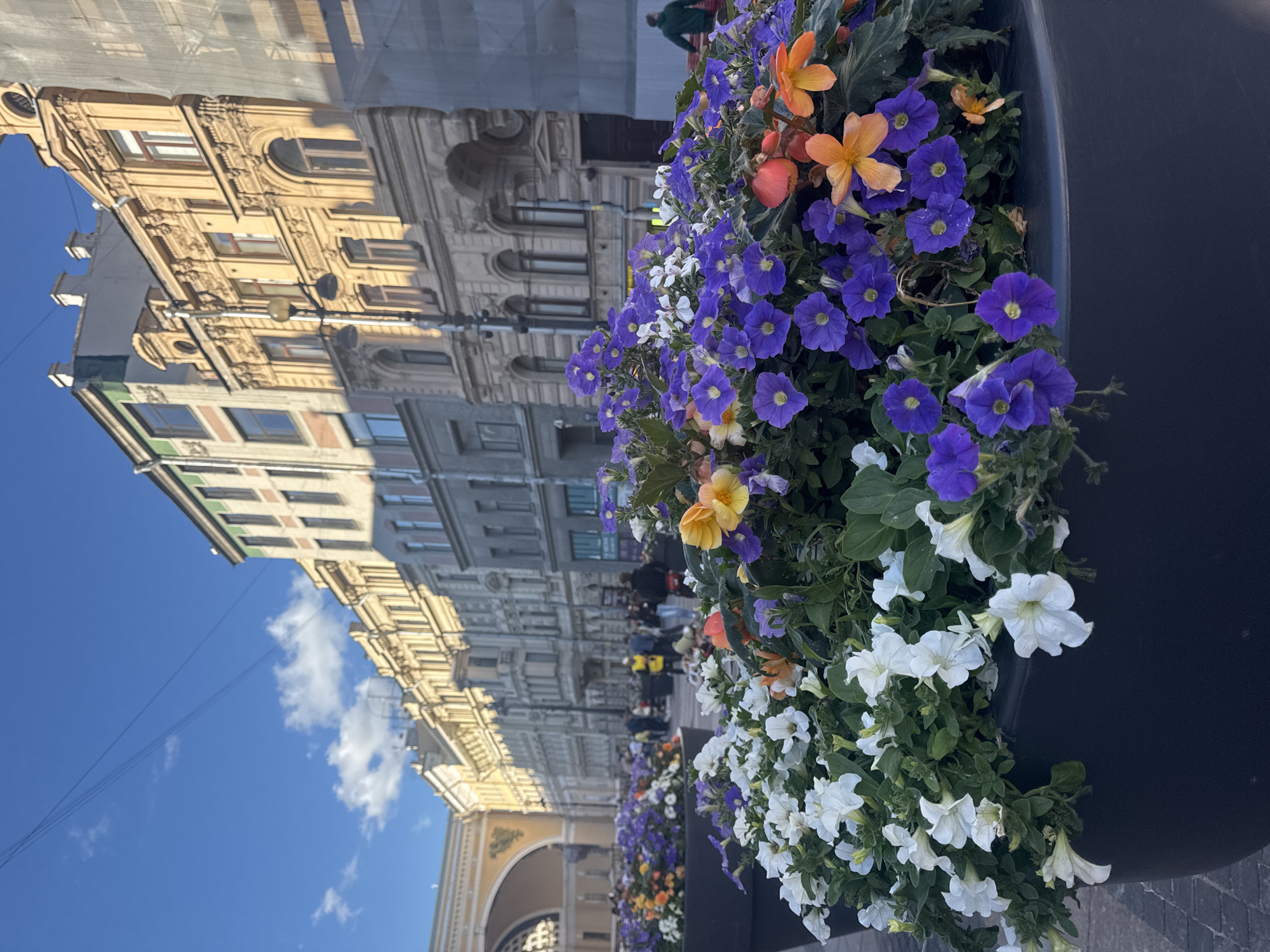 The image depicts a close-up view of large black planters filled with an abundance of colorful flowers, predominantly white petunias and vibrant purple petunias, with accents of orange and yellow blooms. These planters are strategically placed in the foreground, creating a lush, floral barrier. In the background, a street scene unfolds in Saint Petersburg, Russia, showcasing the city's distinctive architecture. Several buildings with ornate facades, characterized by classical detailing and multiple stories, line the street. The architectural styles suggest a historic urban setting. The sky above is a clear blue, with a few wispy clouds and overhead power lines, typical of a European city. The presence of people walking along the street indicates a public urban space, possibly a pedestrian area or a sidewalk. The lighting suggests it is daytime, with sunlight casting shadows and highlighting the details of the buildings. The overall impression is of a well-maintained urban environment where floral decorations enhance the historical architectural backdrop.
