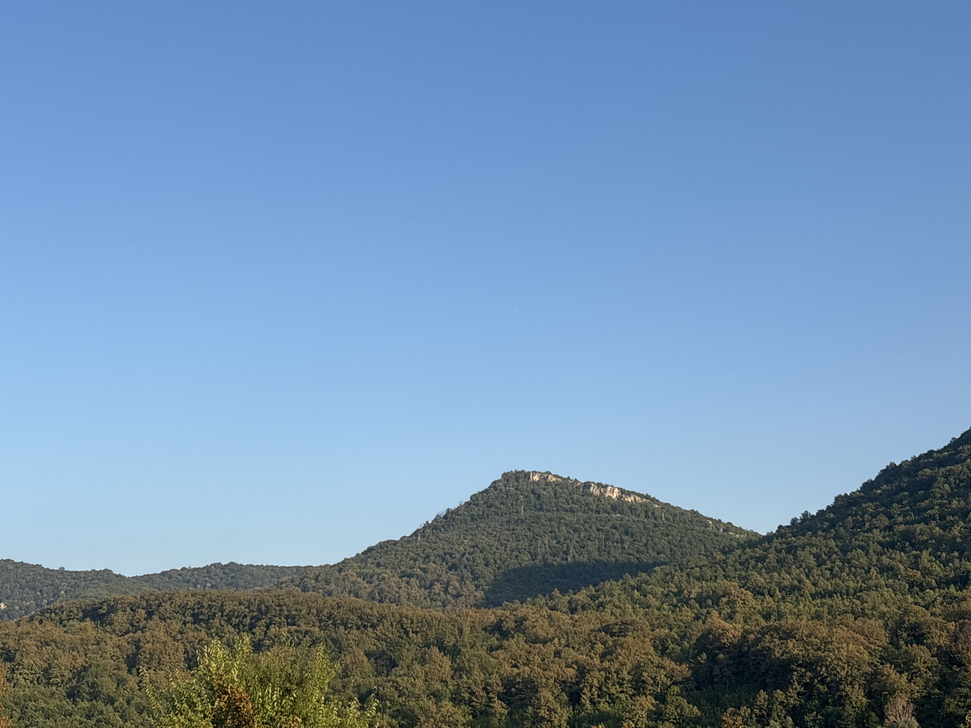 The image depicts a panoramic view of rolling hills covered in lush green and autumnal foliage under a clear, bright blue sky. The foreground features the tops of trees, with varying shades of green and hints of yellow and brown. The midground consists of densely forested hills, with one prominent, rounded peak dominating the center. This central peak is steeper and appears to have a rocky, lighter-colored summit. To the right, another forested hill slopes downwards. The sky above is a uniform, cloudless blue. This scene is characteristic of the natural landscape surrounding Asparuhovo, Bulgaria, known for its hilly terrain and dense forests. No people, man-made objects, or specific actions are visible in the image.