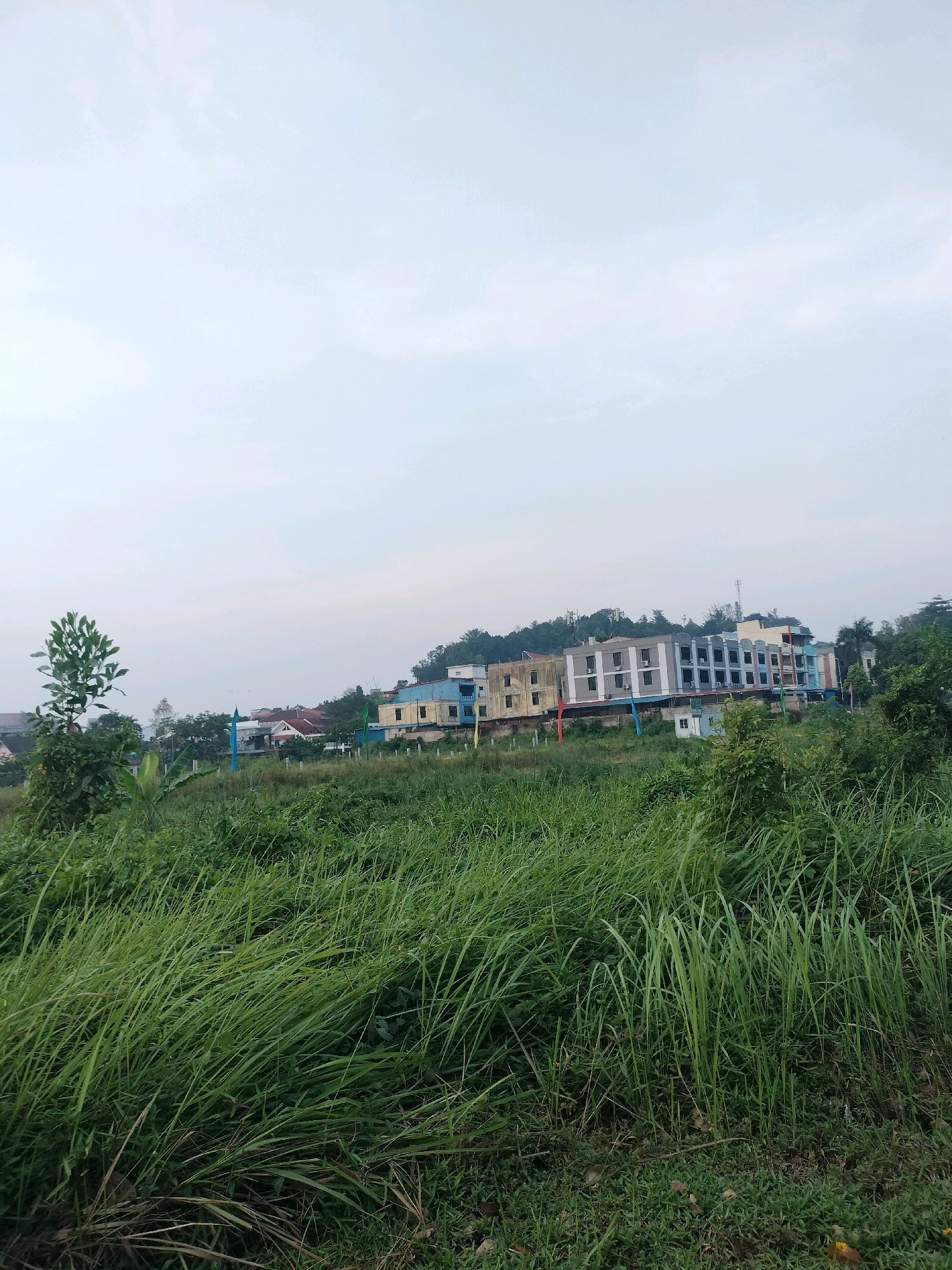 The image depicts a landscape scene in Batam, Indonesia, featuring a foreground of tall, lush green grass with some dried leaves scattered on the ground. In the midground, a cluster of buildings stands on a gentle slope, some with a light blue facade, others with gray and white elements, and a few with red roofs. These buildings appear to be residential or commercial establishments, possibly part of a developing area. A single, leafy green tree stands to the left of the frame, its foliage reaching towards the sky. The background is dominated by a hazy sky with some scattered clouds, suggesting it might be overcast or early morning/late evening. The overall impression is one of a semi-urban or peri-urban environment, with nature encroaching on human development.