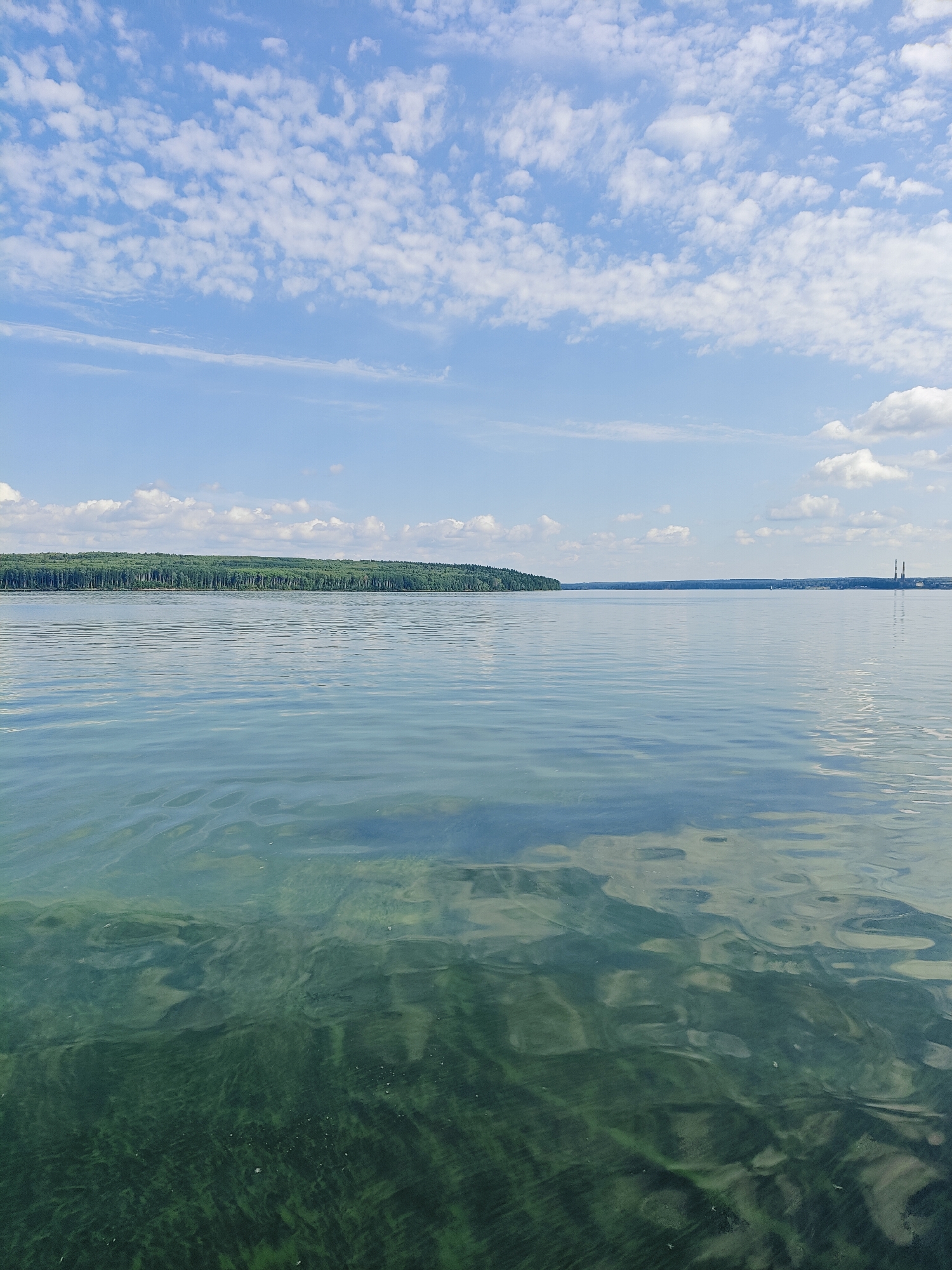 The image depicts a serene panoramic view of the Kama River in Chaikovsky, Russia, under a bright, partly cloudy sky. The foreground is dominated by the calm, rippling surface of the river, which exhibits a noticeable greenish hue, suggesting the presence of algae or aquatic vegetation. The water's surface reflects the sky and the distant landscape. In the middle ground, a dense, dark green line of trees stretches across the horizon, forming a forest that borders the river. Beyond the forest, the river extends further, meeting a hazy sky with scattered white clouds. On the far right of the horizon, two industrial smokestacks are visible, hinting at the presence of industrial infrastructure near the city. There are no people or discernible actions in the frame; the scene is tranquil and focuses on the natural landscape and its interaction with the river.