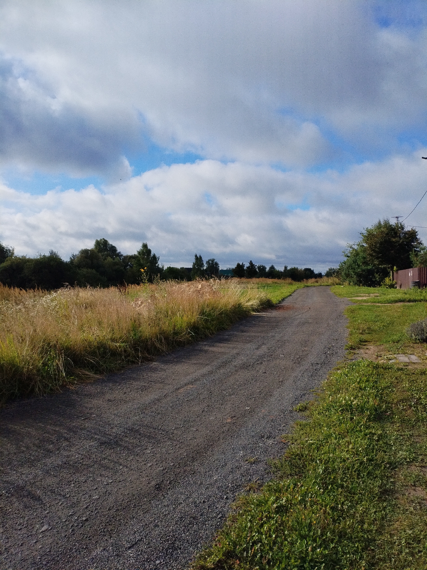 The image depicts a rural scene on a partly cloudy day. A gravel road curves through a landscape with dry, tall grass on the left and green grass on the right. In the distance, a line of trees forms a dark green border against the sky. There are no people visible in the image. The scene is characteristic of the countryside in Bialynichy, Belarus, with its natural vegetation and unpaved roads.