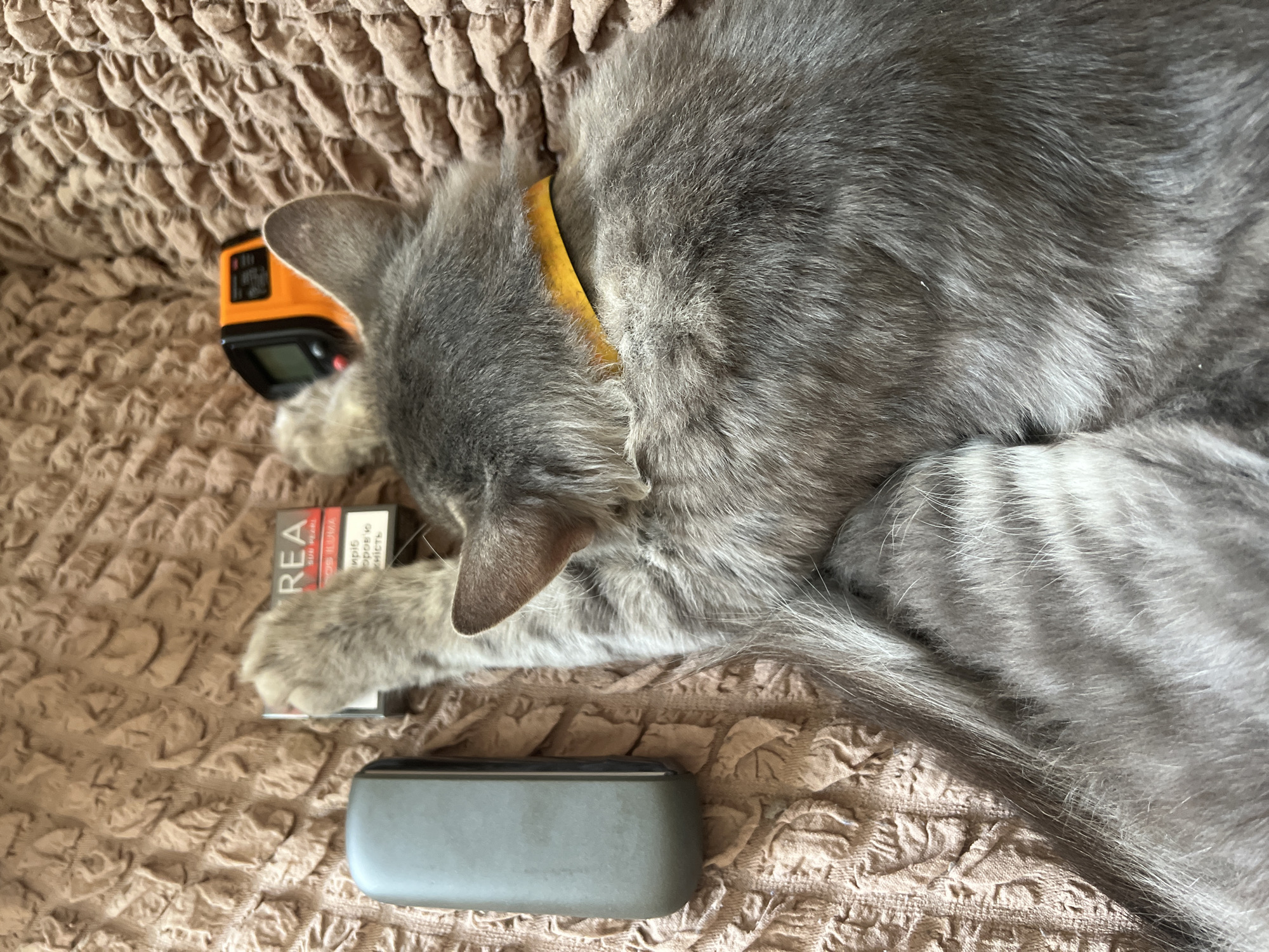 An adult gray tabby cat wearing a yellow collar is lying on a textured brown blanket. To the left of the cat is a rectangular gray electronic device. To the right of the cat are a cigarette pack and an orange and black electronic device. The cat's paw is touching the cigarette pack. The image is taken from a high angle, looking down at the cat and the objects. There is no visible information to determine the location within the city of Drohobych, Ukraine, or any other specific location.