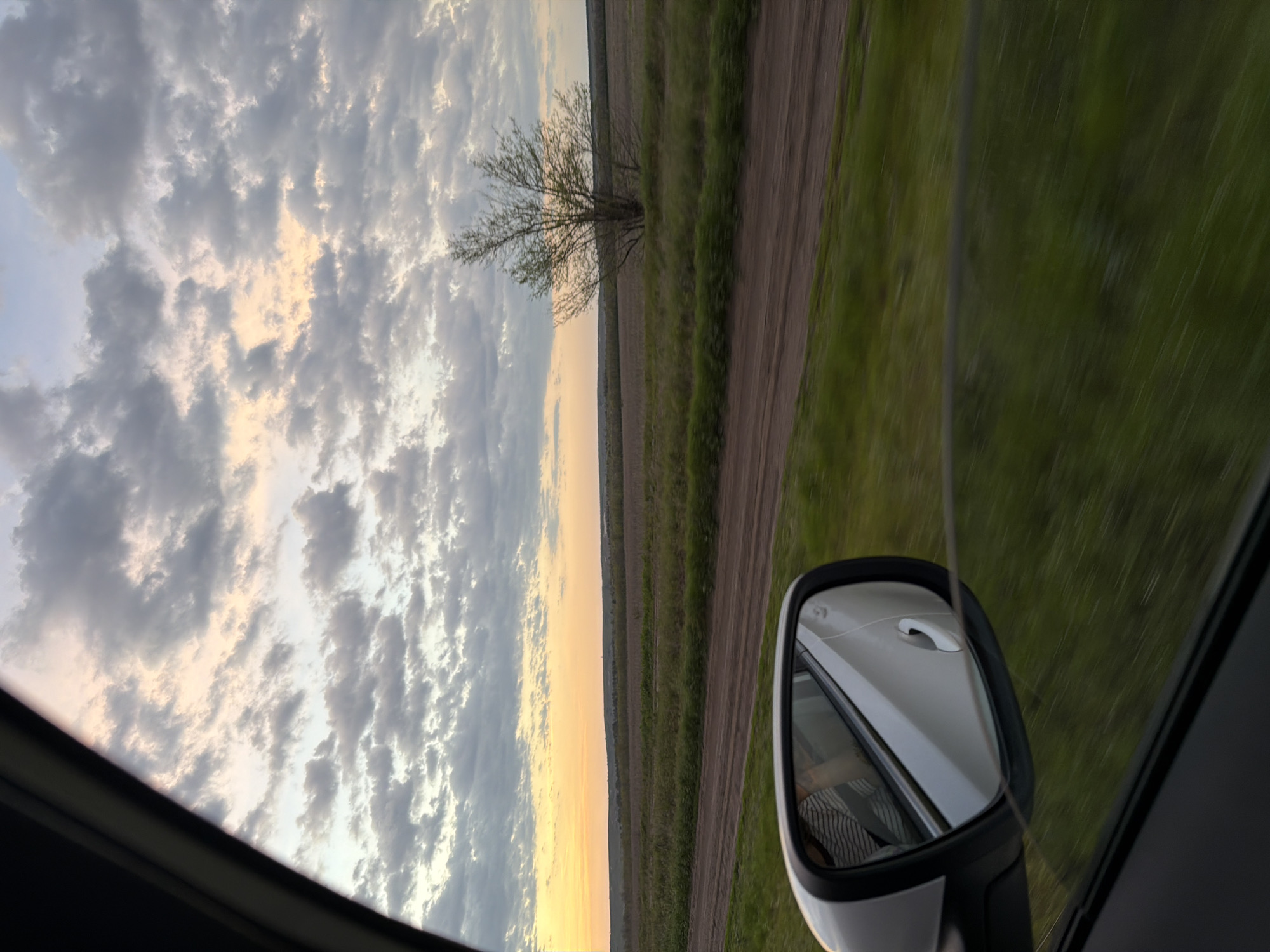 The image, taken from inside a moving vehicle, captures a rural scene. A car's side mirror is visible, reflecting the side of the car. Outside the window, a vast, cloudy sky fills the left portion of the frame, with some areas tinged with a yellow glow near the horizon. A landscape stretches out to the right, featuring grassy fields and a dirt road. A solitary, leafless tree stands in the distance between the road and the fields. Due to the moving vehicle, the scenery outside is slightly blurred. This landscape is located in or around Nizhnyaya Lipovka, Russia.