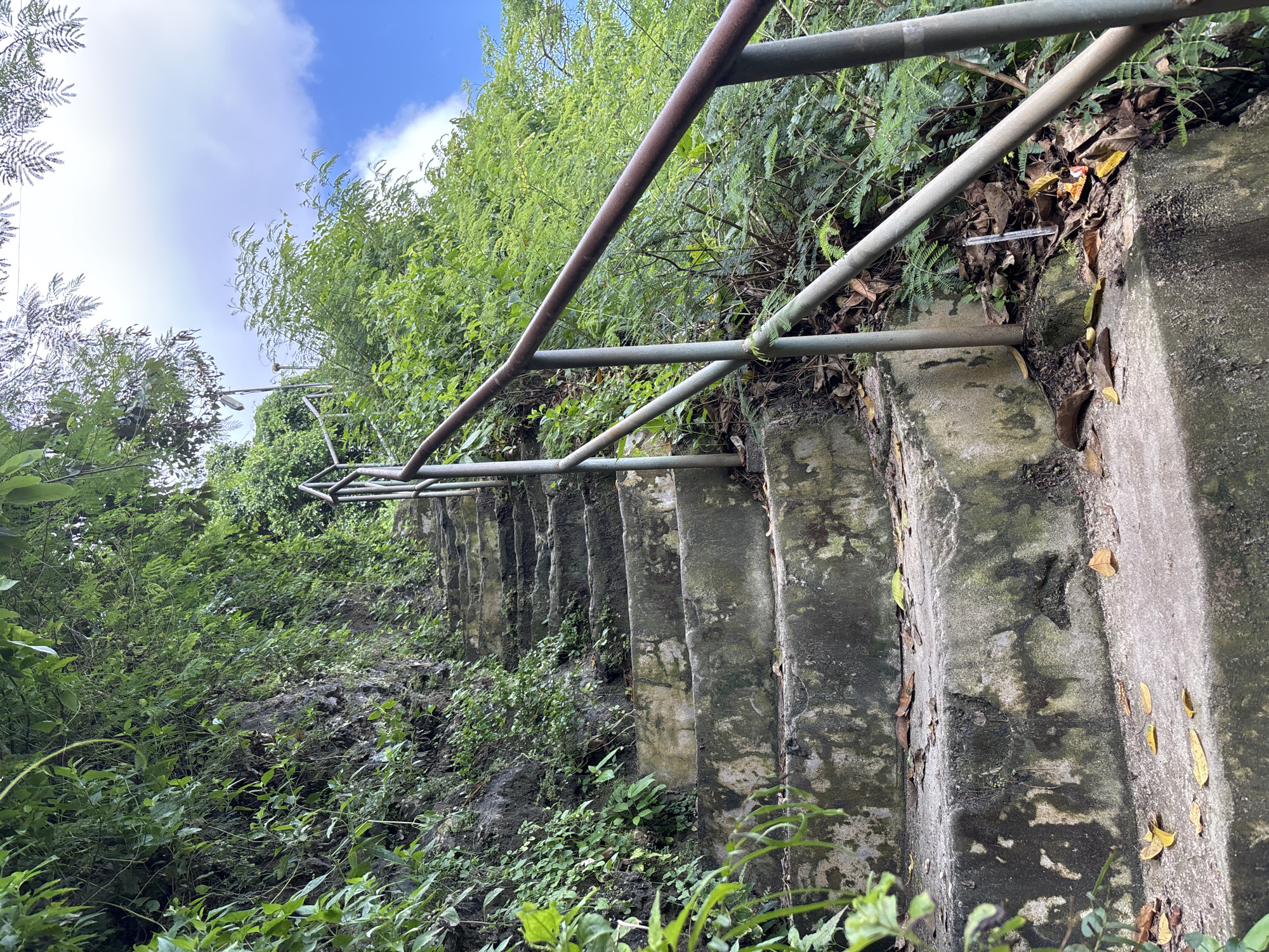 An outdoor scene shows a long, descending set of concrete steps with a metal handrail, likely in a tropical or subtropical environment. The steps are weathered and show signs of age with moss and lichen growing on the surfaces. The handrail is made of pipes and shows signs of oxidation. Lush green vegetation, including various plants and ferns, flanks both sides of the staircase. In the background, a partly cloudy sky is visible through the trees. The location is Uluwatu, Indonesia.