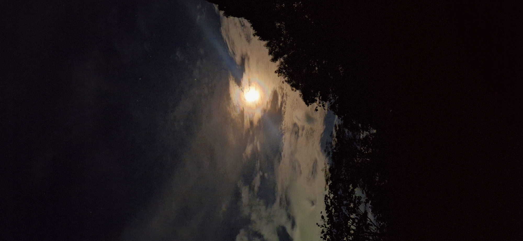 The image shows a night sky with a bright moon shining through clouds. Trees are silhouetted against the right side of the frame. The location is unknown; there is no information in the image to place it in Vallecito, Venezuela.