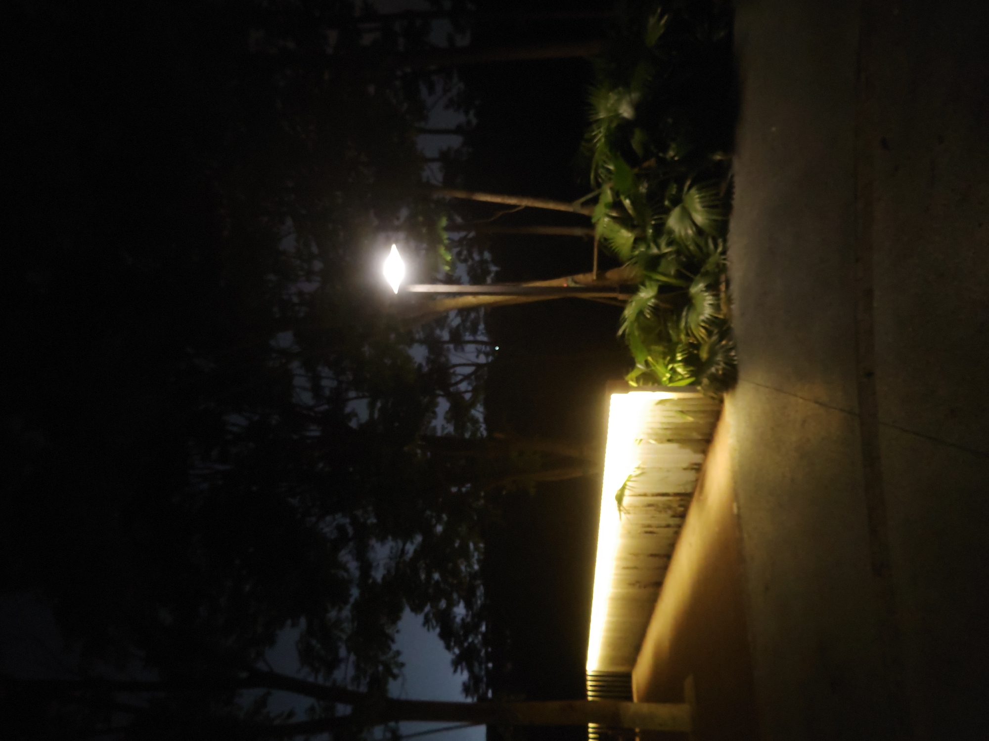 The image depicts a dimly lit outdoor scene at night. On the left, dark trees dominate the view with a single lamppost emitting light amidst the foliage. To the right, a wall or structure is brightly illuminated by a linear light source along its edge. Green plants are visible at the top of the structure. The background is dark, suggesting a natural setting. No people or other discernible subjects are visible. The location is specified as Chongqing High-tech Zone, China.