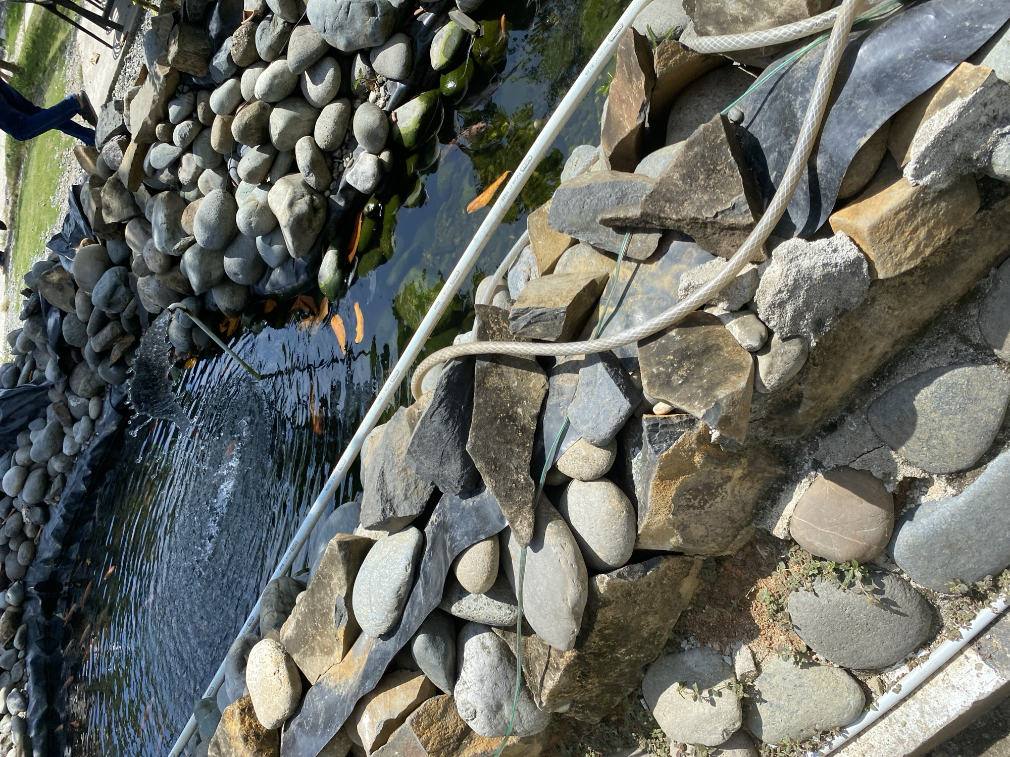The image depicts an outdoor pond, likely a koi pond given the presence of orange fish visible in the water. The pond is surrounded by a naturalistic rock embankment, featuring a variety of stones, from small pebbles to larger, irregular shapes. Black liner material is visible beneath the rocks in some areas, suggesting a constructed pond. A white pipe runs along the edge of the pond, likely part of a water filtration or circulation system, and a clear, ribbed hose is also present, possibly related to water flow or aeration. A fountain is actively creating a spray of water within the pond. The water itself is clear, allowing visibility of the fish and some submerged greenery. In the background, a grassy area and glimpses of people walking suggest a park or garden setting. The overall impression is of a well-maintained water feature in a natural environment. The location is identified as Aluepiet, Indonesia.