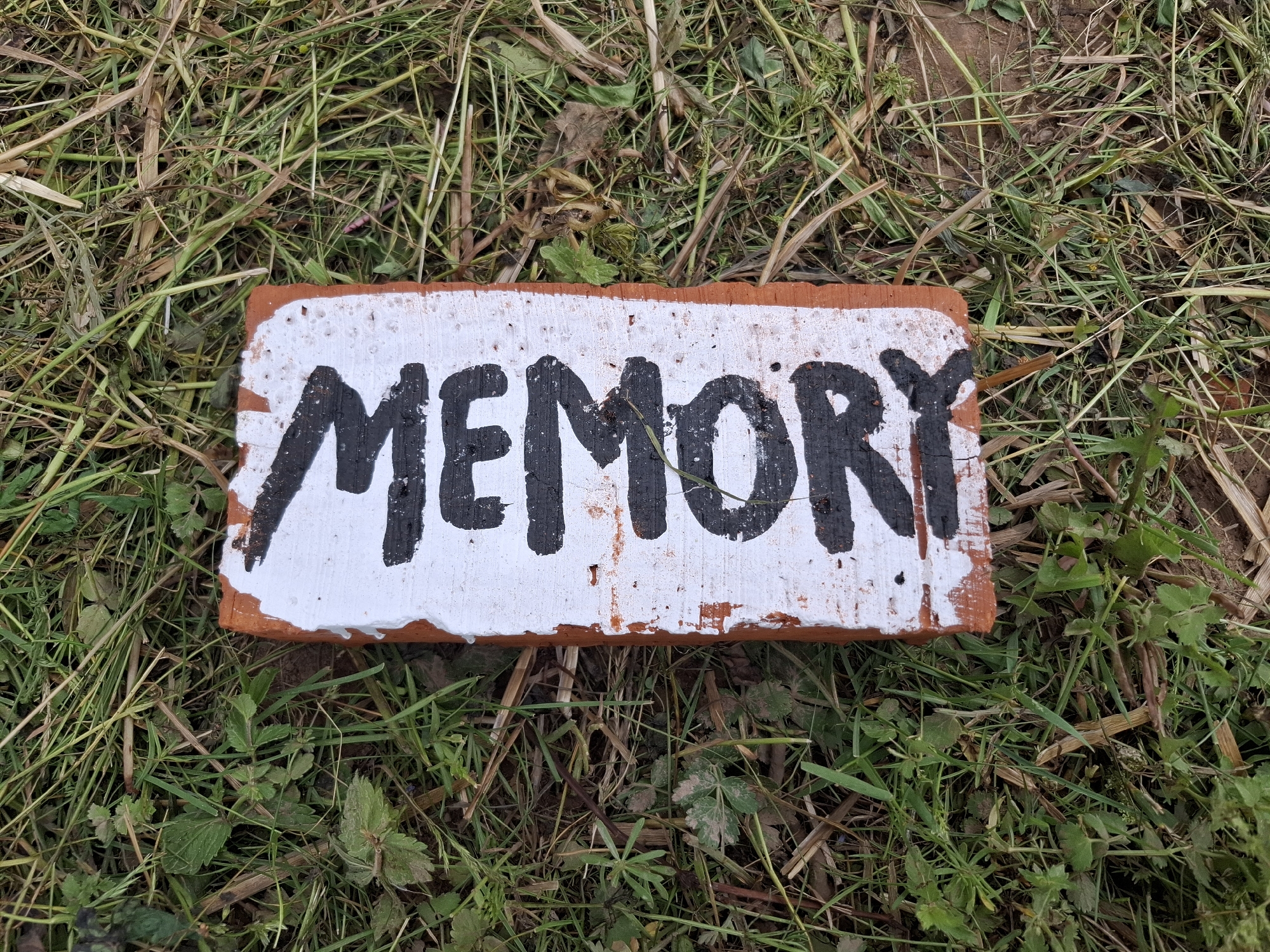 Memory