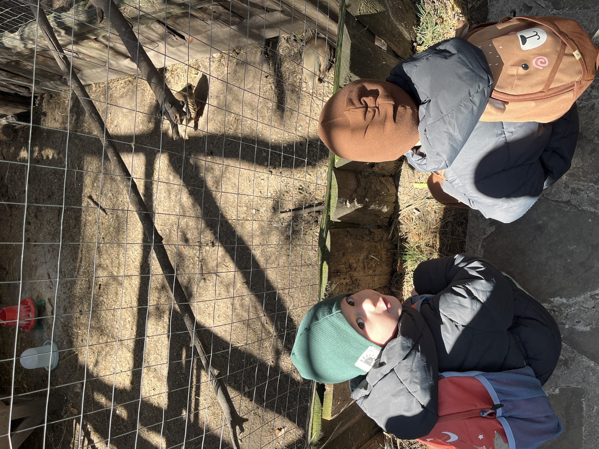 Two young children are looking into an enclosure. One child, wearing a green beanie, is in the foreground. The other child, wearing a brown beanie and a brown backpack with a cartoon animal face, is behind the first child. The enclosure contains chickens. There is also a red and white drinking apparatus in the enclosure. The photo was most likely taken outdoors on a sunny day. It is impossible to confirm its location in the city of Ulyanovsk, Russia from this image alone.