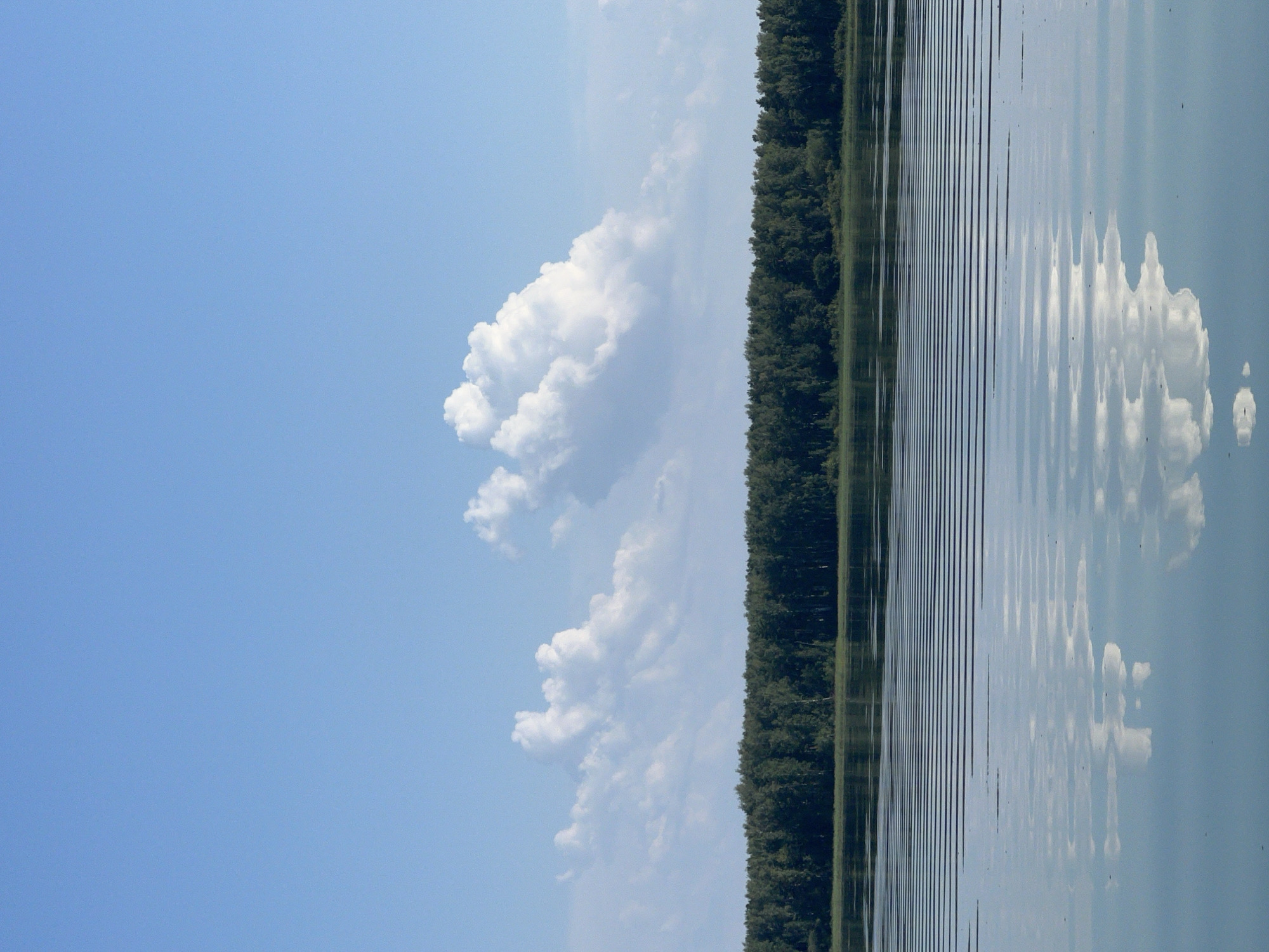 This is a landscape photograph taken from the surface of a body of water. The foreground and middle ground consist of the water itself, with distinct horizontal ripples reflecting the sky and a distant treeline. In the middle distance, a dense, dark green forest stretches across the horizon, indicating the presence of a treeline. Above the treeline, a bright blue sky is visible, populated by scattered, fluffy white clouds. The overall impression is of a calm, natural environment. The image does not contain any people, buildings, or urban elements, and is thus not indicative of a specific city location such as Beregovoe, Russia.