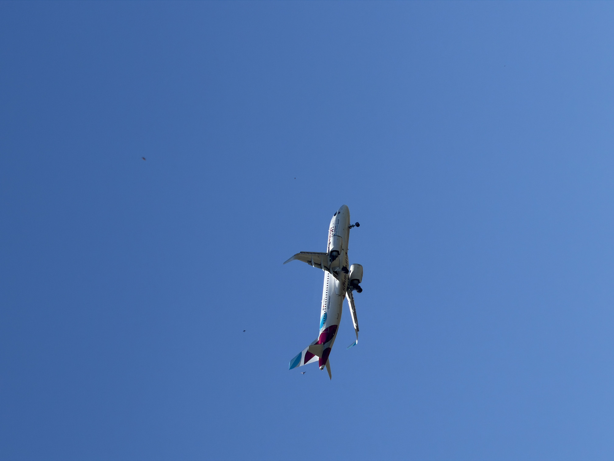 An airplane with a white fuselage and a distinctive purple and teal tail design is flying in a clear blue sky. The aircraft has its landing gear extended, indicating it is likely on approach for landing. The text "EUROWINGS" is visible on the side of the plane. There are a couple of small birds or insects visible in the distance. The image does not contain any elements that would allow for a specific location within Burgas, Bulgaria to be identified. The perspective suggests the photo was taken from below the aircraft.