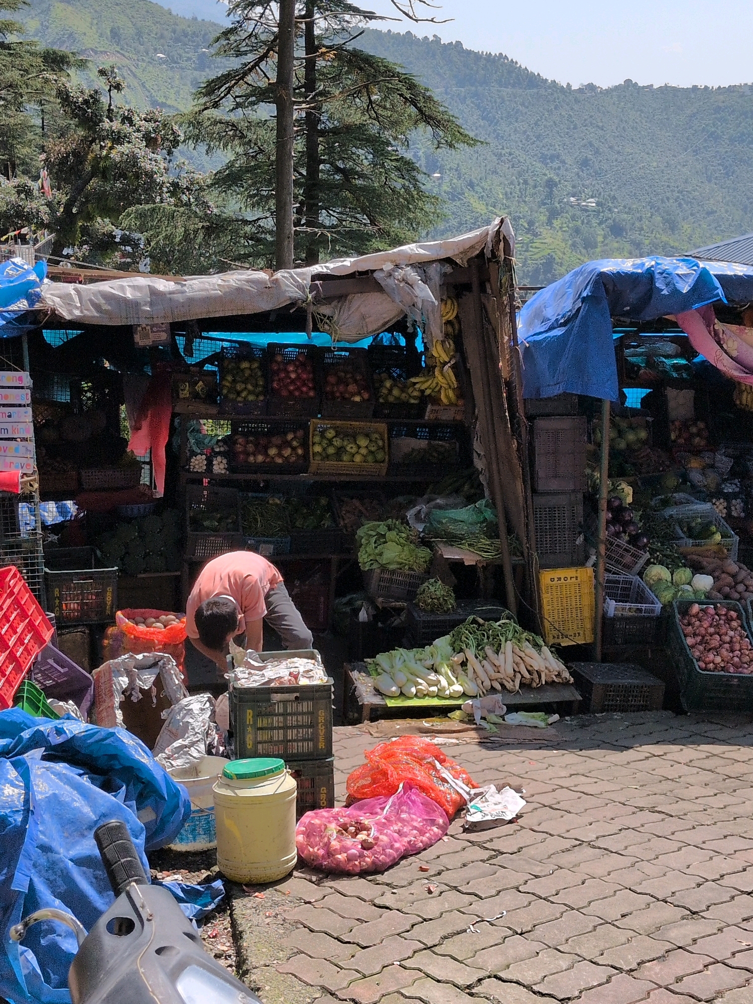 The image depicts an outdoor market stall in Dharamkot, India, with a backdrop of a lush, tree-covered hillside. A person wearing an orange shirt and dark pants is bent over, attending to produce at the stall. The stall itself is partially covered with blue and white tarpaulin. Various fruits and vegetables are displayed in crates and baskets, including bananas, apples, onions, radishes, and leafy greens. Bags of produce, including onions and potatoes, are also visible on the ground. In the foreground, a portion of a scooter is visible, parked on a paved surface. The overall scene suggests a vibrant local marketplace.