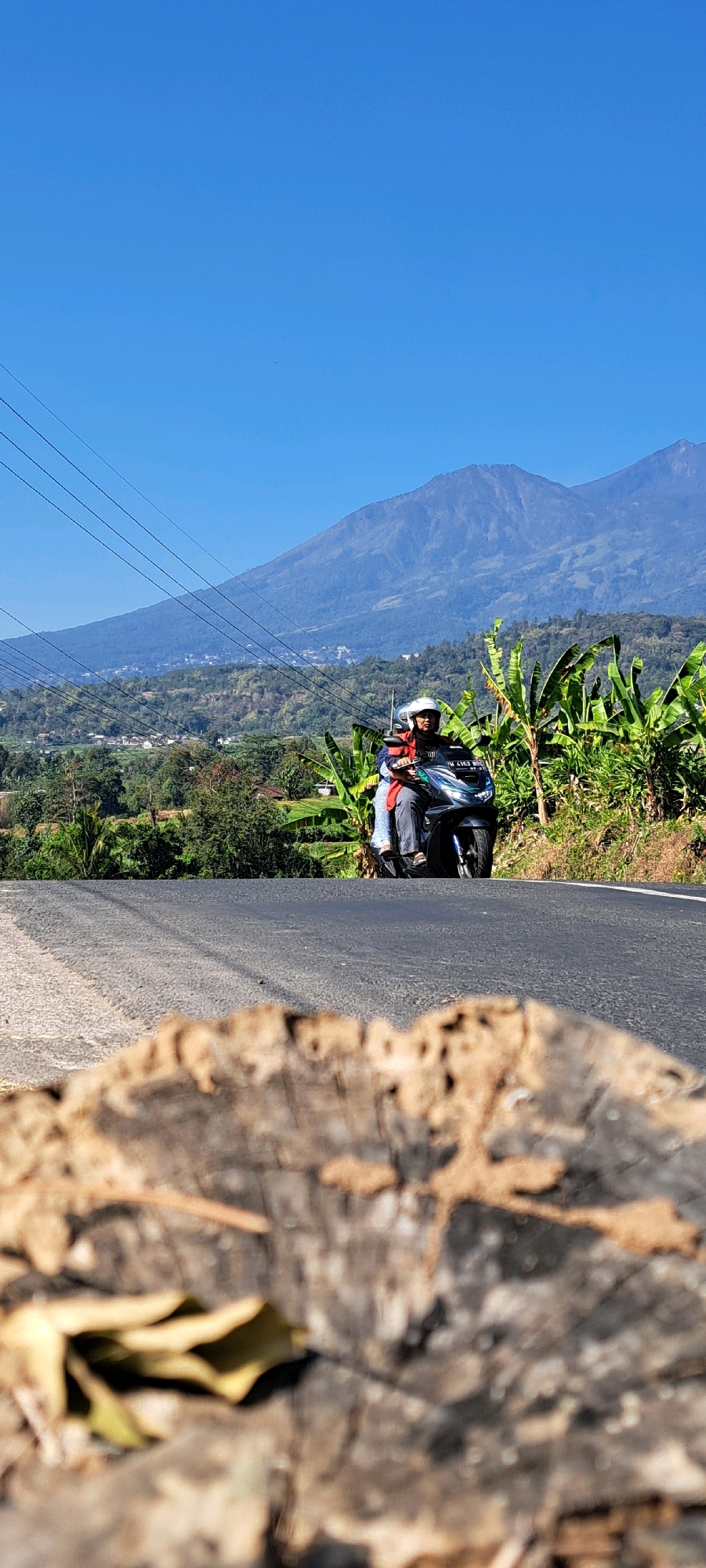 In Sukoreno, Indonesia, two individuals ride a dark-colored scooter on a paved road. The rider in front wears a white helmet and a dark jacket with a red vest over it. The person behind them, also wearing a helmet, is partially visible. They are positioned on the road, which curves slightly to the left.
The background features a lush green landscape with banana trees and other vegetation on the right side of the road. Beyond the immediate roadside greenery, hills covered in trees and scattered houses extend towards a large, hazy blue mountain dominating the horizon under a clear, bright blue sky. Power lines run diagonally across the upper left portion of the image. In the foreground, the blurred texture of a rough, split log or tree stump occupies the bottom of the frame, with a few dry leaves visible within its rough surface. The lighting suggests it is daytime, with the sun casting distinct shadows.