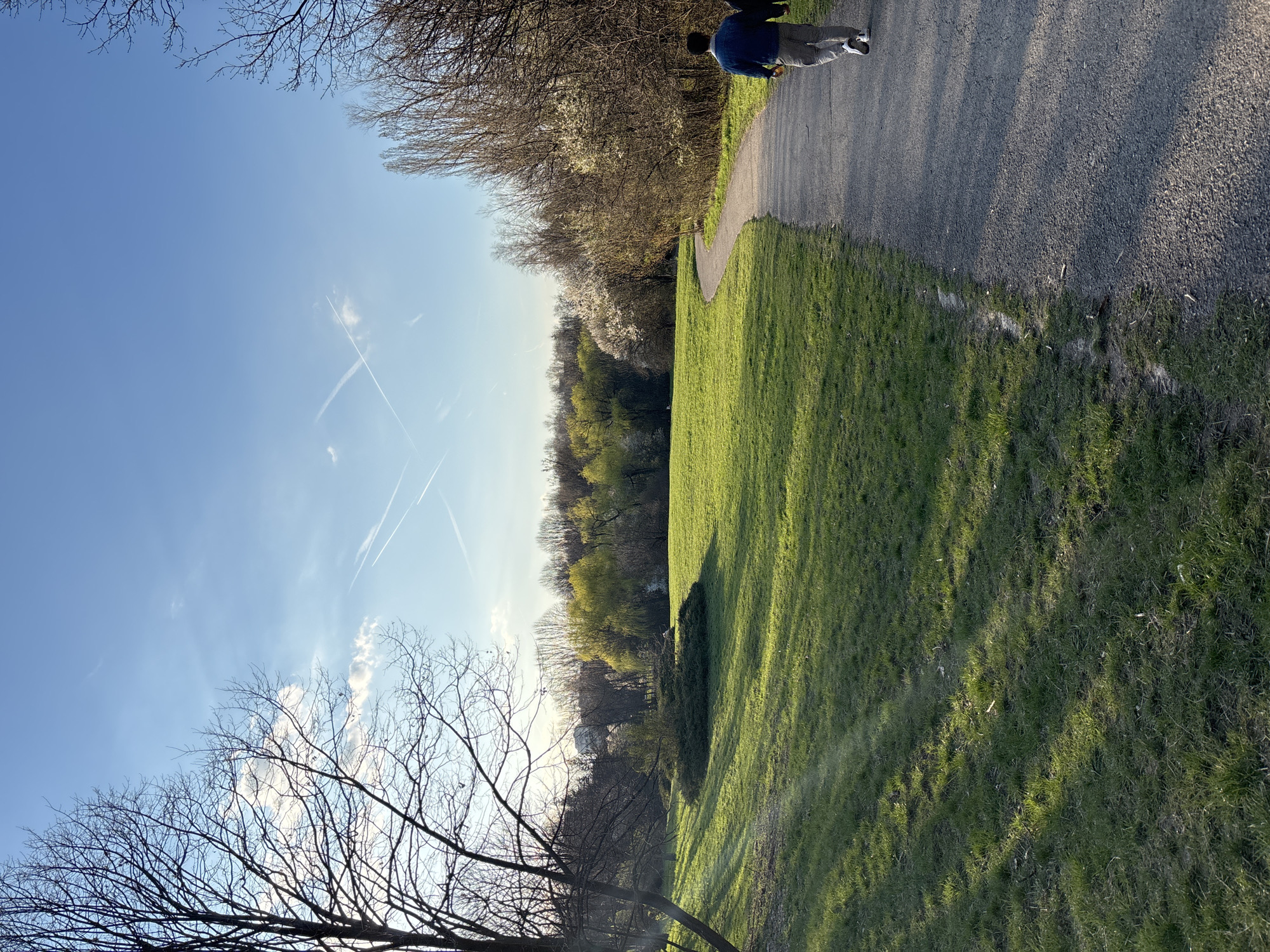 The image captures a scene in a park, likely in Sofia, Bulgaria, given the likely location of the image. A person dressed in a blue shirt and grey pants walks along a paved path. The path is bordered by a vibrant green lawn to the right and trees to the left, some of which are blossoming with white flowers. The sky is blue with contrails. Bare tree branches are visible in the foreground, contrasting with the blossoming trees further away. The scene is bathed in sunlight.