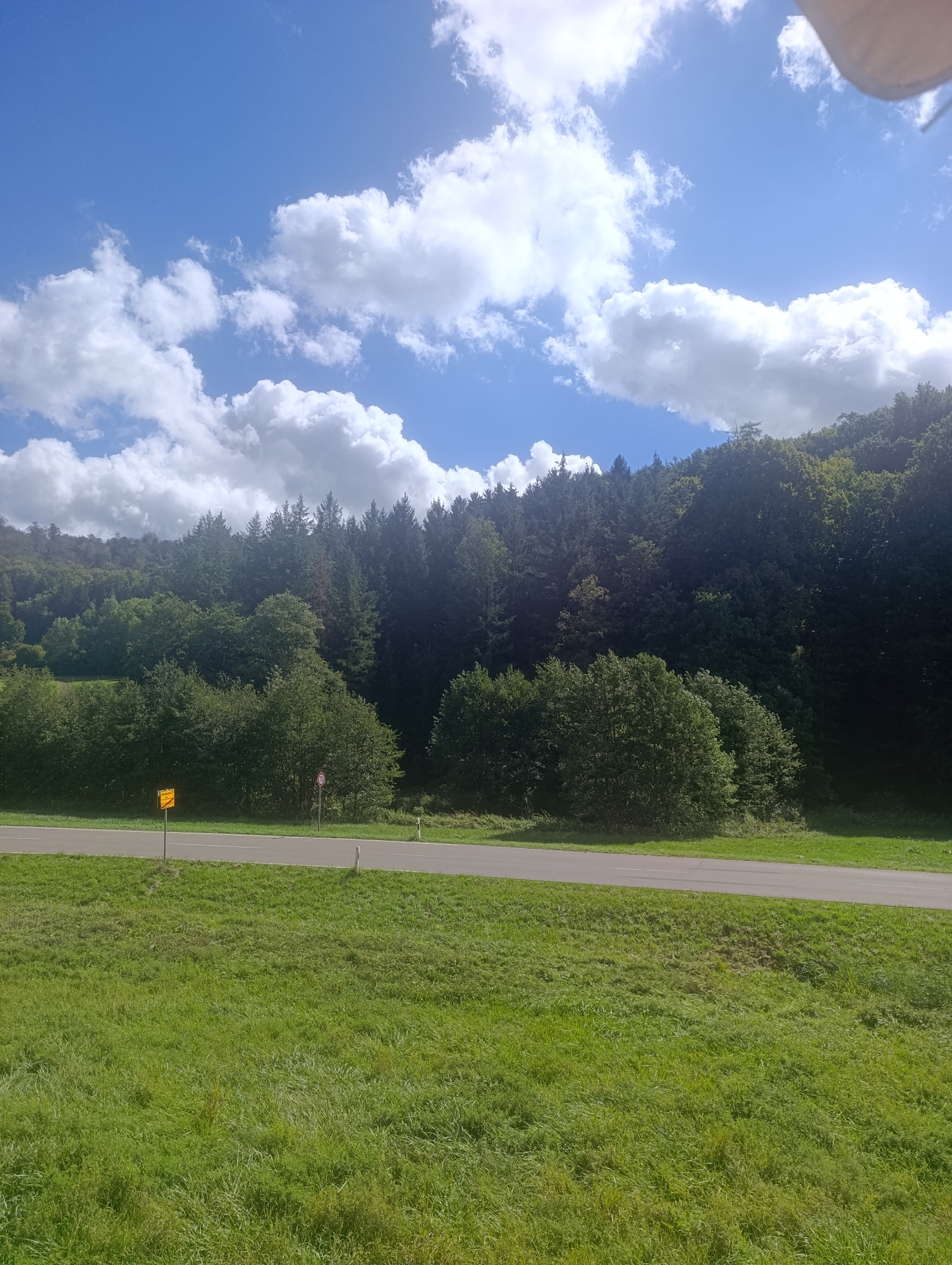 The image captures a rural landscape with a road running through it. In the foreground, a lush green grassy field stretches across the bottom of the frame. A paved road, with a white line marking its edge, is situated beyond the grassy field, separating it from a dense forest that covers a hillside in the background. The forest is a mix of evergreen and deciduous trees, creating a varied texture of green hues. Above the trees, a bright blue sky is dotted with fluffy white clouds. Two signs are visible on the side of the road: a yellow rectangular sign with black markings on the left and a circular red and white sign on the right, indicating a speed limit. The overall impression is one of a peaceful, natural setting under a partly cloudy sky.