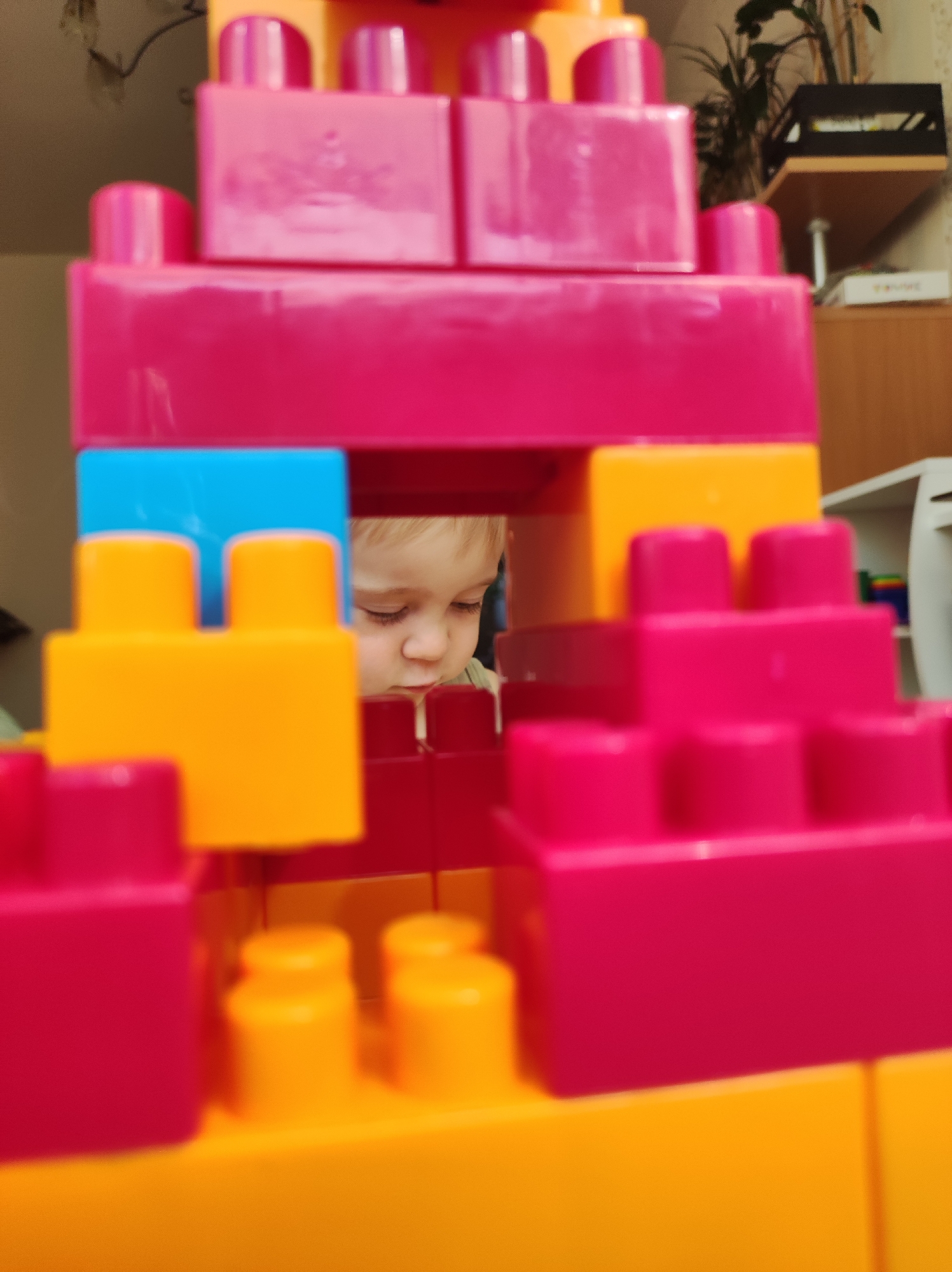 In this close-up, indoor shot, a toddler's face is partially visible as they peer through an opening in a brightly colored structure made of large, interlocking plastic toy blocks. The blocks are predominantly magenta and orange, with a segment of blue blocks visible behind the child's head. The child, with fair skin and blonde hair, is looking downwards, with their left eye and part of their cheek in focus. The toy structure appears to be a castle or a similar building, with multiple levels and prominent studs on top of the blocks. The background is blurred, suggesting an indoor setting, with hints of shelves and possibly a plant. The lighting is soft, creating a warm, intimate feel. The image is shot from a low angle, looking up at the child and the toy structure. This scene is likely taking place within a residential environment in Chaikovsky, Russia, given the contextual information provided.