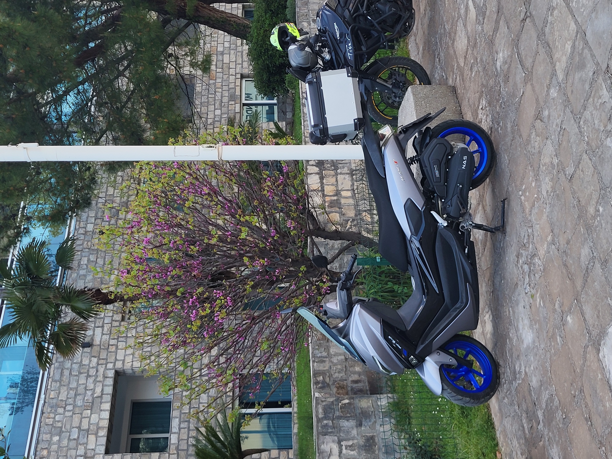 The image shows two motorcycles parked on a stone-paved area in Budva, Montenegro. One is a black and silver scooter with blue wheels, partially obscuring the second motorcycle, a black Triumph adventure bike with panniers and a neon green helmet on top. A building with a stone facade and blue-tinted windows is visible in the background, alongside a flowering tree with purple blooms. A white support pole is positioned in front of the tree and motorcycles. The surroundings include greenery, suggesting a garden or park setting.