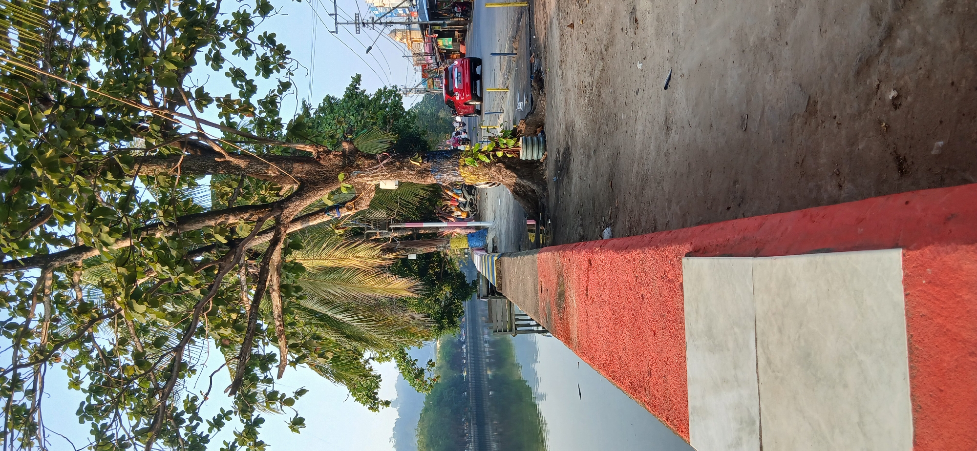 The image shows a riverside promenade in Samarinda, Indonesia, with a road adjacent to it. The promenade features a raised concrete wall, painted red on top and white at the base, bordering a body of water. Trees, including palm trees and a large deciduous tree with visible roots, line the promenade, offering shade. The road is paved and has utility poles and buildings lining one side. A red car is visible on the road, suggesting moderate traffic. Several motorcycles are parked along the promenade. The scene appears to be set in the morning or late afternoon, given the lighting. The general atmosphere is that of a typical urban environment in Samarinda, combining natural elements with infrastructure.