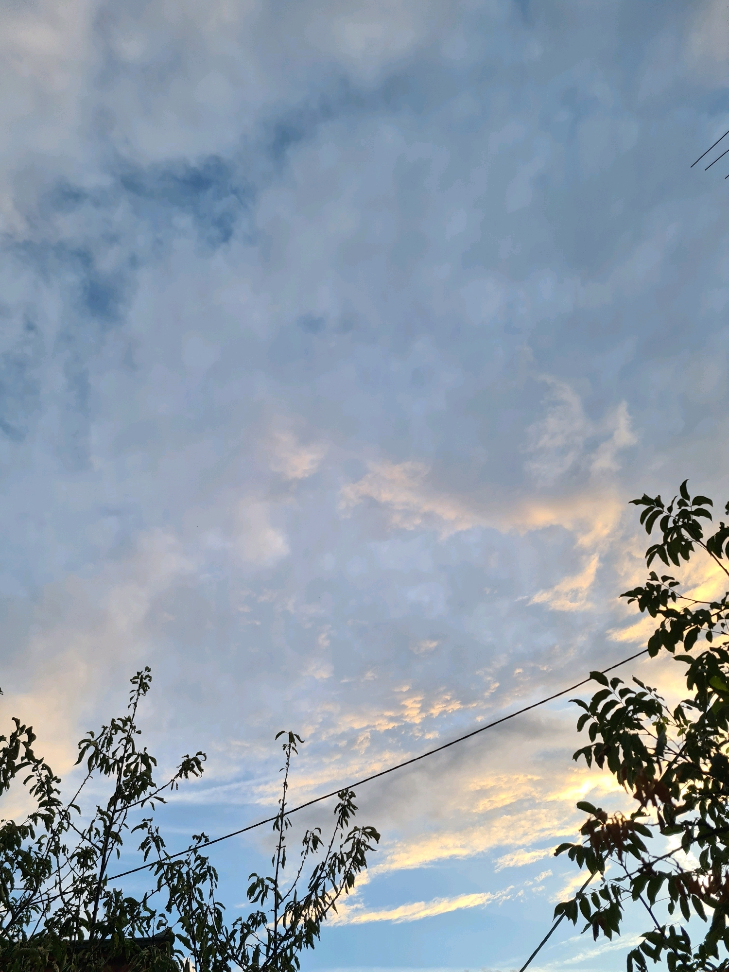 A view of the sky over Grad Rijeka, Croatia, is captured, with dark silhouettes of tree branches and leaves framing the lower part of the image. Thin, dark power lines stretch horizontally across the frame, partially obscured by the foliage. The sky is filled with a mix of pale blue and wispy, overcast clouds, with hints of soft yellow and orange light suggesting either sunrise or sunset. The lighting is diffused, creating a calm and somewhat muted atmosphere. There are no people or identifiable landmarks visible in the image. The scene appears to be an outdoor, natural setting within the urban environment.