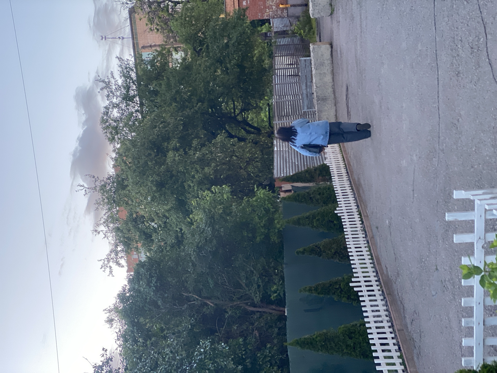 The photo depicts a street scene. A woman is walking along a paved road, wearing a blue jacket and dark trousers, with a bag hanging on her shoulder. A white picket fence runs along the right side of the road, bordering a green hedge with triangular shaped plants. On the left side of the road, there are various trees and vegetation. A building with a brick exterior is visible in the background. The sky is overcast. The location is likely in Poltava, Ukraine, but this detail cannot be definitively confirmed solely from the image.