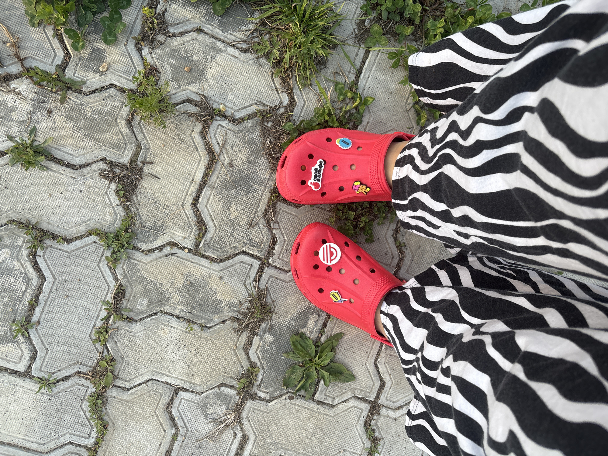 A person is standing on a paved surface in an outdoor setting. The pavement is made of grey, interlocking concrete pavers with patches of grass and weeds growing between them. The person is wearing black and white zebra-striped pants. On their feet, they are wearing red Crocs with various decorative charms. The location and the city of Birobidzhan, Russia, cannot be determined from the image alone.