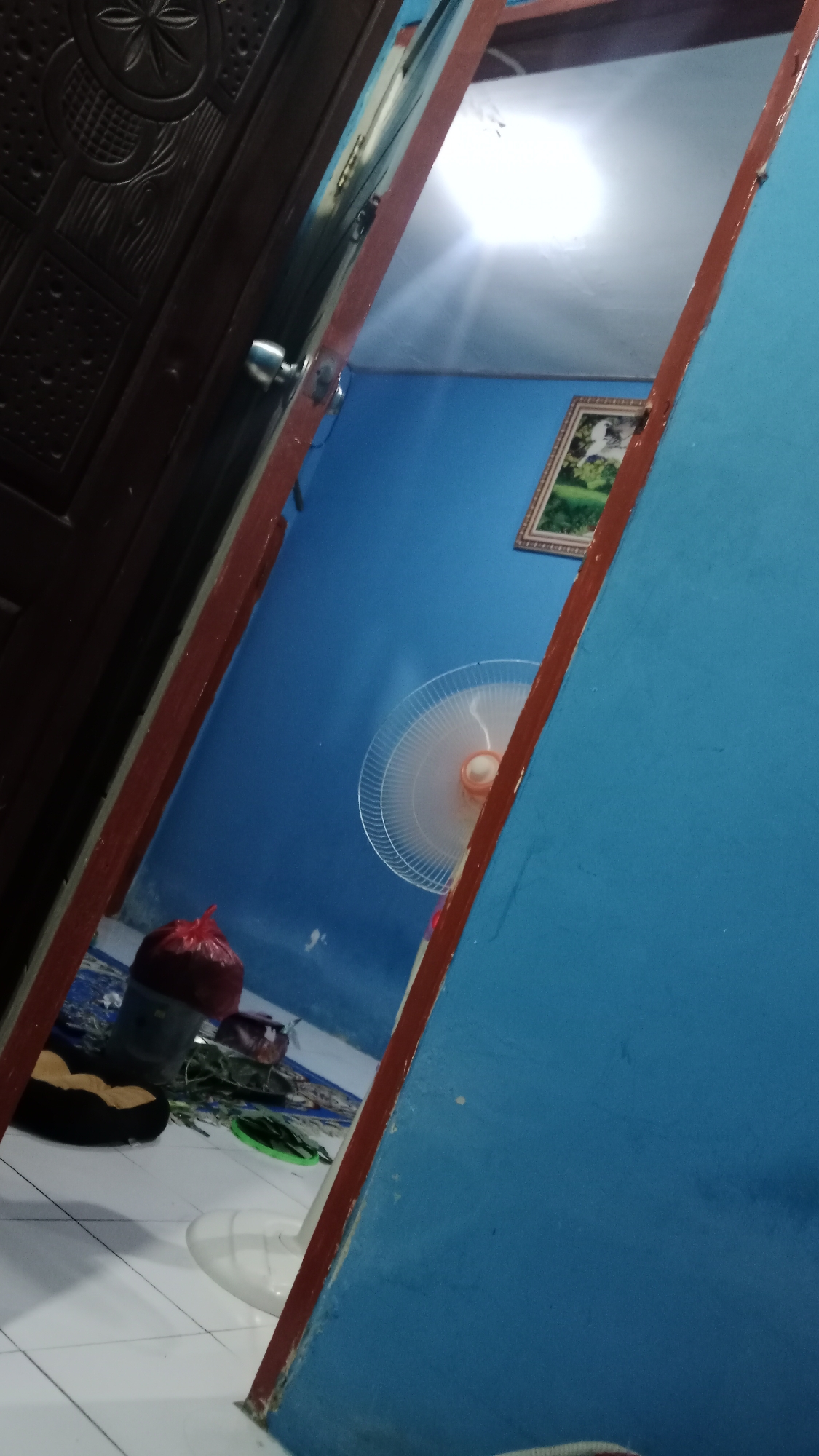 The image captures an indoor scene, likely a residential interior, with a strong slant that suggests the photo was taken at an angle. The dominant color is a bright, matte blue on the walls. A wooden door, dark brown with intricate carvings, is visible on the left, partially open. A silver doorknob is present on this door.
In the foreground, the edge of a red wooden doorframe is prominent. Beyond the open door, the room's interior is revealed. A white oscillating fan is mounted on the blue wall, its blades visible. Above the fan, a framed picture hangs, depicting a natural scene with what appears to be a bird.
On the floor, a large red plastic bag is visible next to a grey bucket. There are also some scattered green items, possibly foliage or refuse, and a dark-colored pet bed with a yellow cushion. The floor itself is tiled with white square tiles. A bright light source, possibly a ceiling light or sunlight, is reflecting off a large, flat surface in the upper right portion of the image, creating a significant glare.
The overall impression is of a cluttered, lived-in domestic space. There is no explicit indication of the city of Denpasar, Indonesia, within the image itself.