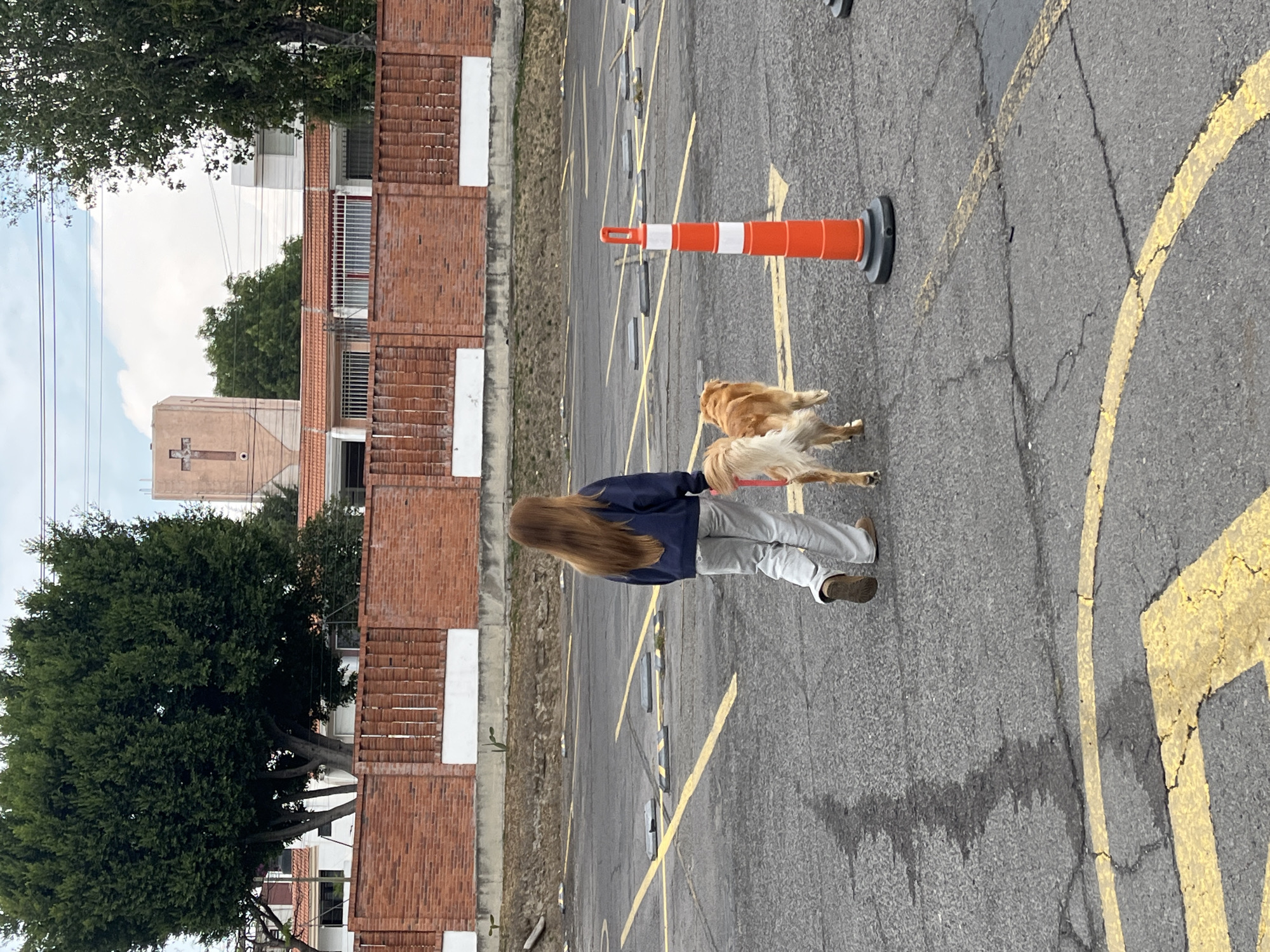 A long-haired woman walks two golden retriever dogs in a paved parking lot marked with yellow lines and parking stops. An orange and white traffic cone stands nearby. The parking lot is next to a brick building and trees. In the background, a church with a cross is visible. The location is Puebla, Mexico.