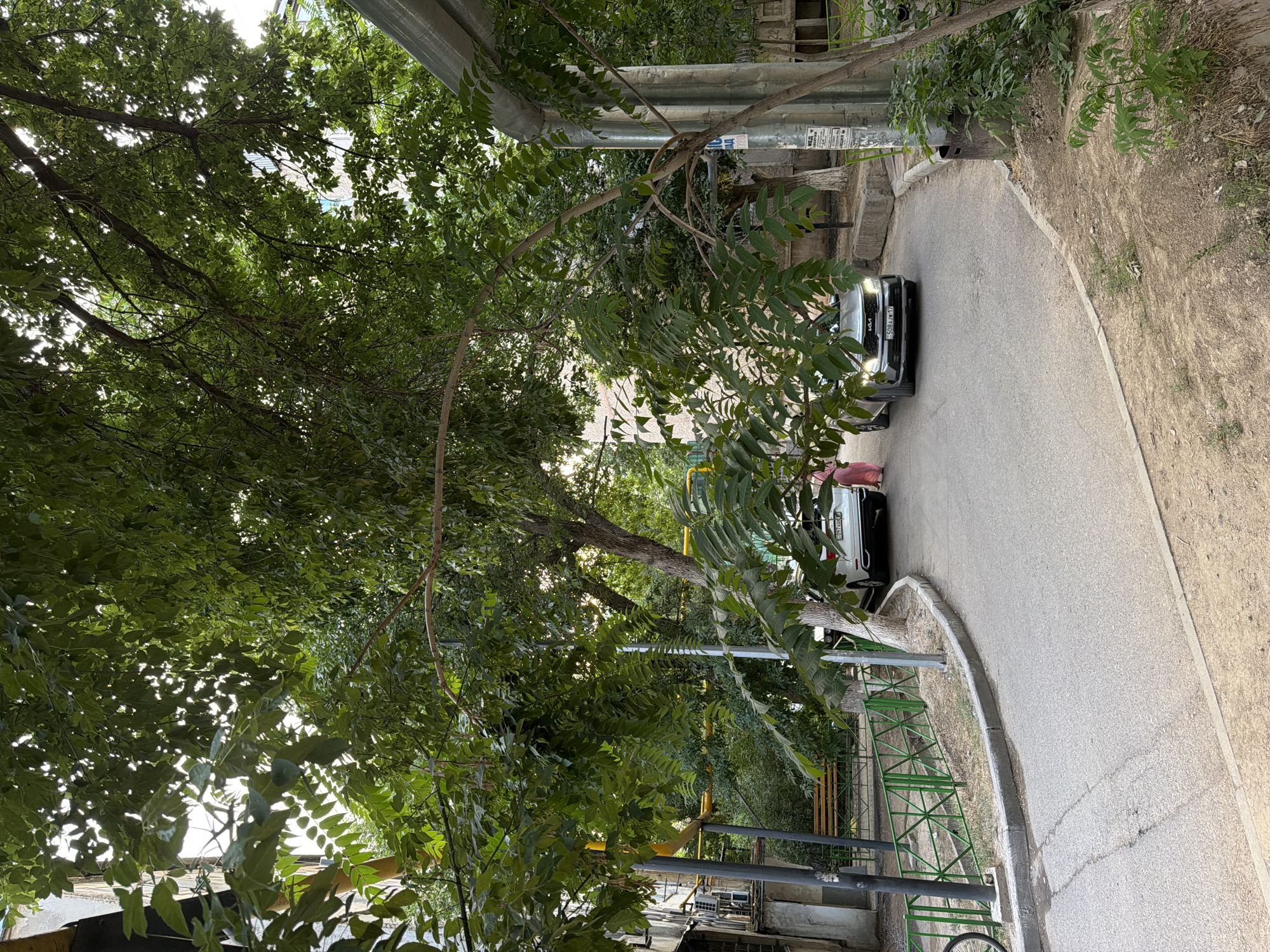 A winding paved road curves through a green residential area. Several large trees with dense foliage provide shade over the road and a pedestrian walkway. A green metal fence separates the walkway from a grassy area with a wooden bench.
Two cars are visible on the road. A white sedan is parked further down the road on the right, and a dark-colored SUV is driving towards the viewer on the left. A person in a pink dress walks away from the SUV.
Apartment buildings are visible in the background, along with yellow pipes and an air conditioning unit attached to one of them. The overall scene suggests a typical residential street in Shymkent, Kazakhstan.