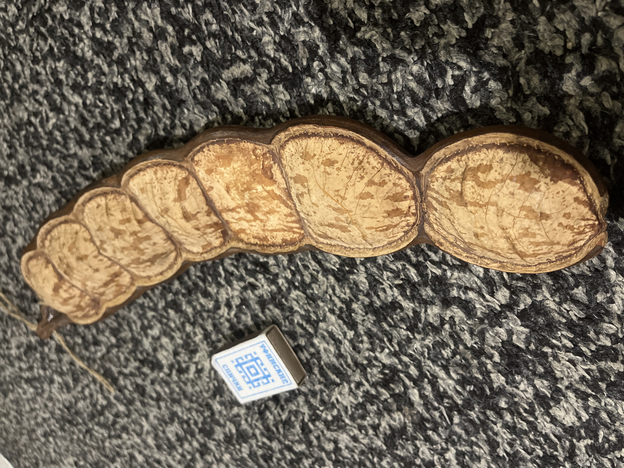 The image depicts a dried Albizia lebbeck seed pod resting on a gray and black patterned rug. A small, rectangular matchbox labeled "УФИМСКИЕ СПИЧКИ" (Ufimskie Spichki) with a blue geometric design is positioned near the seed pod. The seed pod contains several rounded, flattened sections. The seed pod is brown and the box is white. The Ufimskie Spichki match factory is located in Krasnodar, Russia.