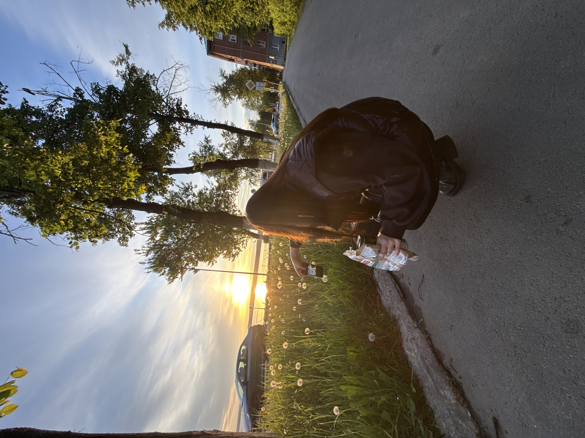 A woman with long dark hair and wearing a black jacket crouches near a roadside in Votkinsk, Russia. She holds a bag of food and a phone, seemingly taking a photo of a field of dandelions stretching towards a setting sun over a body of water. A car is partially visible near the dandelions. The scene also includes a paved path, green trees, a building in the background, and a partially clouded sky.