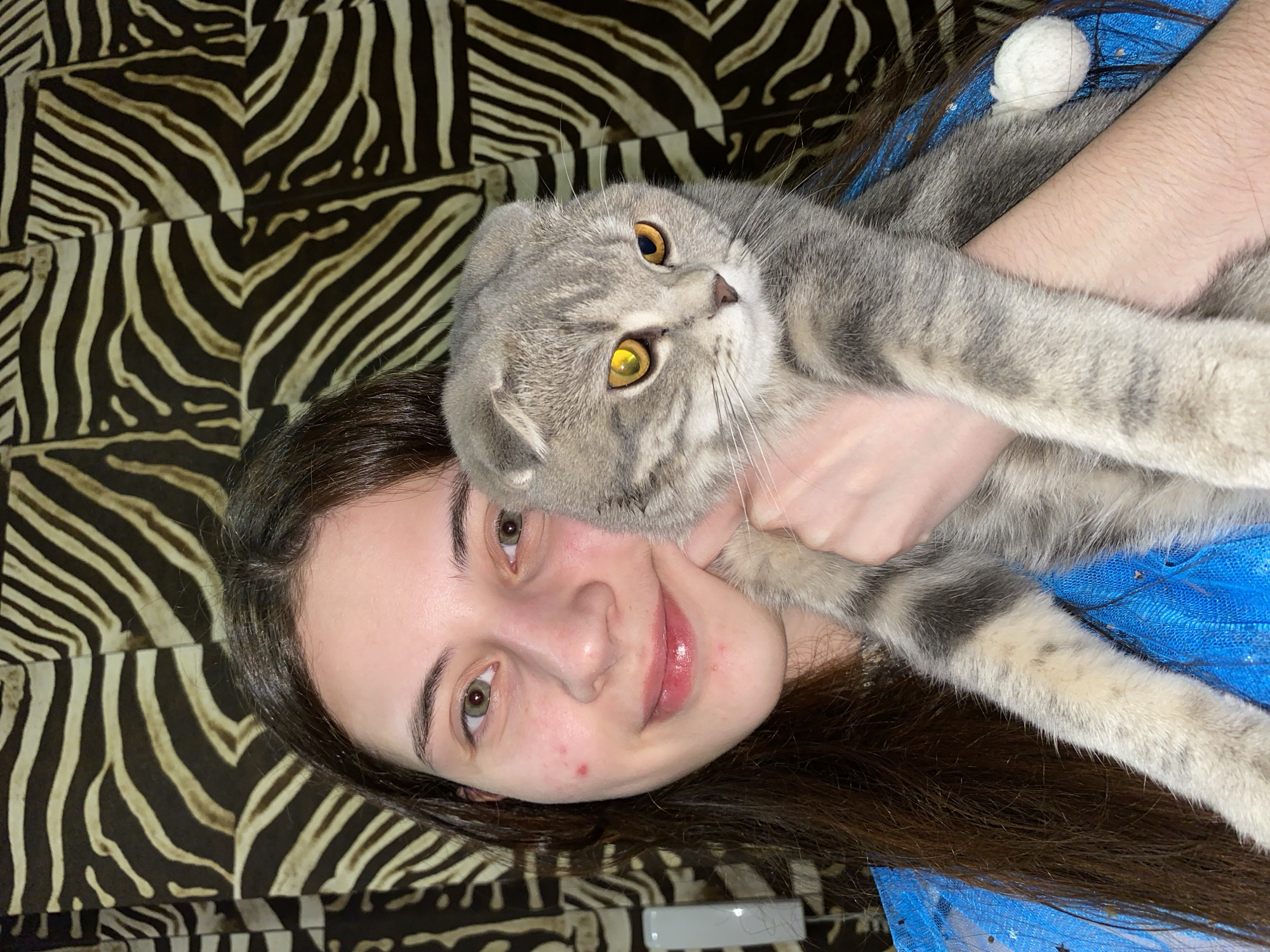 A young woman with long, dark brown hair and fair skin is depicted in an indoor setting, likely a home, against a backdrop of a dark brown and beige zebra-print patterned fabric, possibly a blanket or sofa cover. She is holding a gray Scottish Fold cat with distinctive folded ears, tabby markings, and striking bright amber-yellow eyes.
The woman is positioned with her head slightly tilted, looking towards the viewer with a gentle smile, conveying a sense of happiness and affection. Her green/hazel eyes are clearly visible, as are some minor blemishes on her cheek. She is wearing a blue garment, possibly a dress or top, with visible glitter or star-like patterns. A small white fuzzy object is seen near her right shoulder, possibly an accessory or part of the garment.
The cat is held close to the woman's face, with its head tilted upwards and to the right, its gaze directed off-camera or intently at something. Its whiskers are prominent, and its fur appears soft and well-groomed. The interaction between the woman and the cat suggests a close bond. The overall scene captures a tender moment between a pet owner and her cat in a casual, domestic environment. There is no visible text in the image.