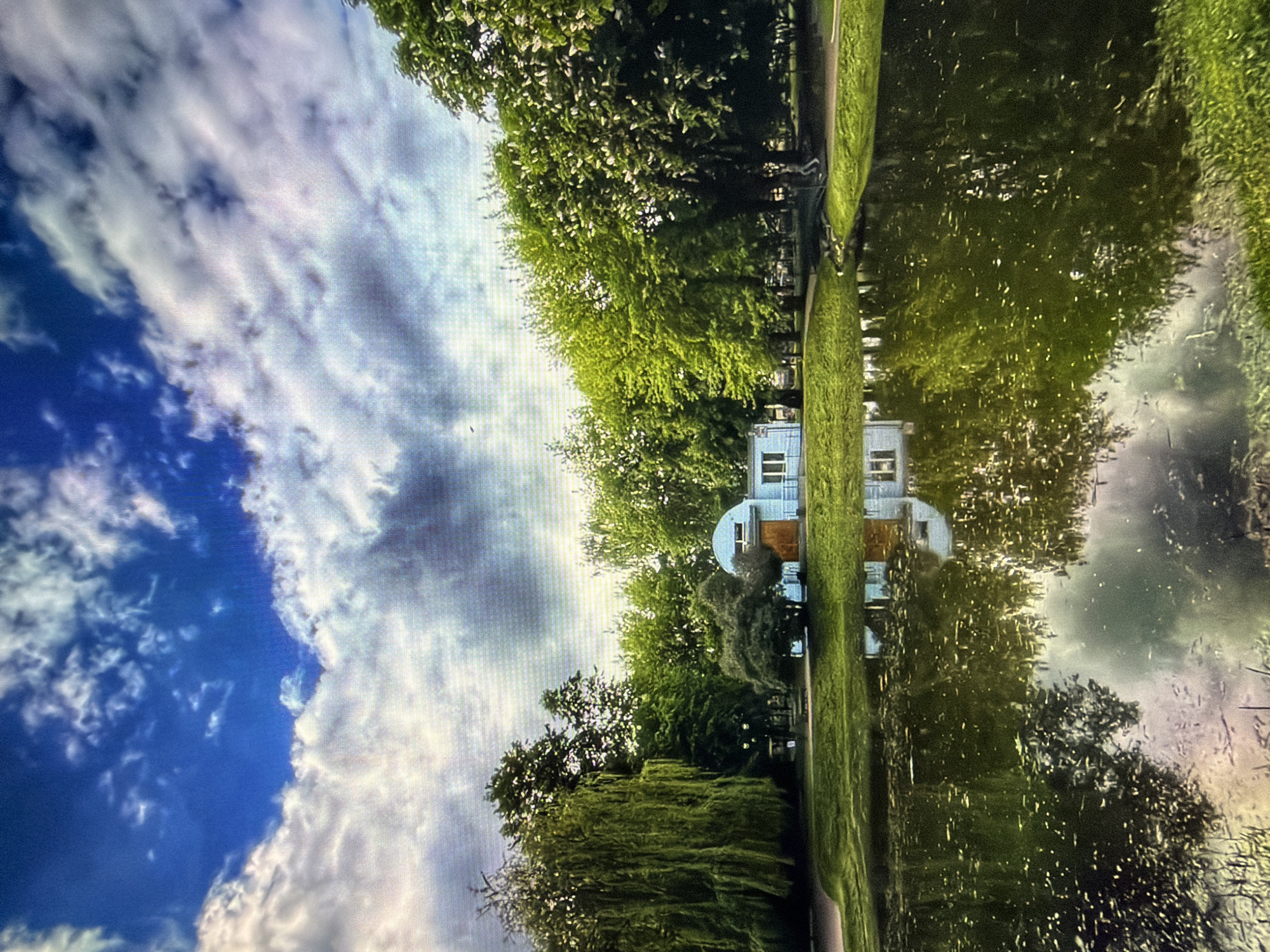 The image shows a park scene in Kotelniki, Russia. In the foreground, a body of dark water reflects the surrounding trees and sky. The water's surface is dotted with small light-colored debris. Behind the water, a lush green lawn slopes upwards, dotted with trees of various types and sizes. To the left, a large weeping willow tree with cascading branches dominates the landscape. In the center of the frame, a small, light-colored building with a rounded section and a rectangular extension stands amongst the trees. The building has wooden doors and windows. The background is filled with dense green foliage of trees and a cloudy blue sky. The overall impression is one of a serene park setting on a partly cloudy day.
