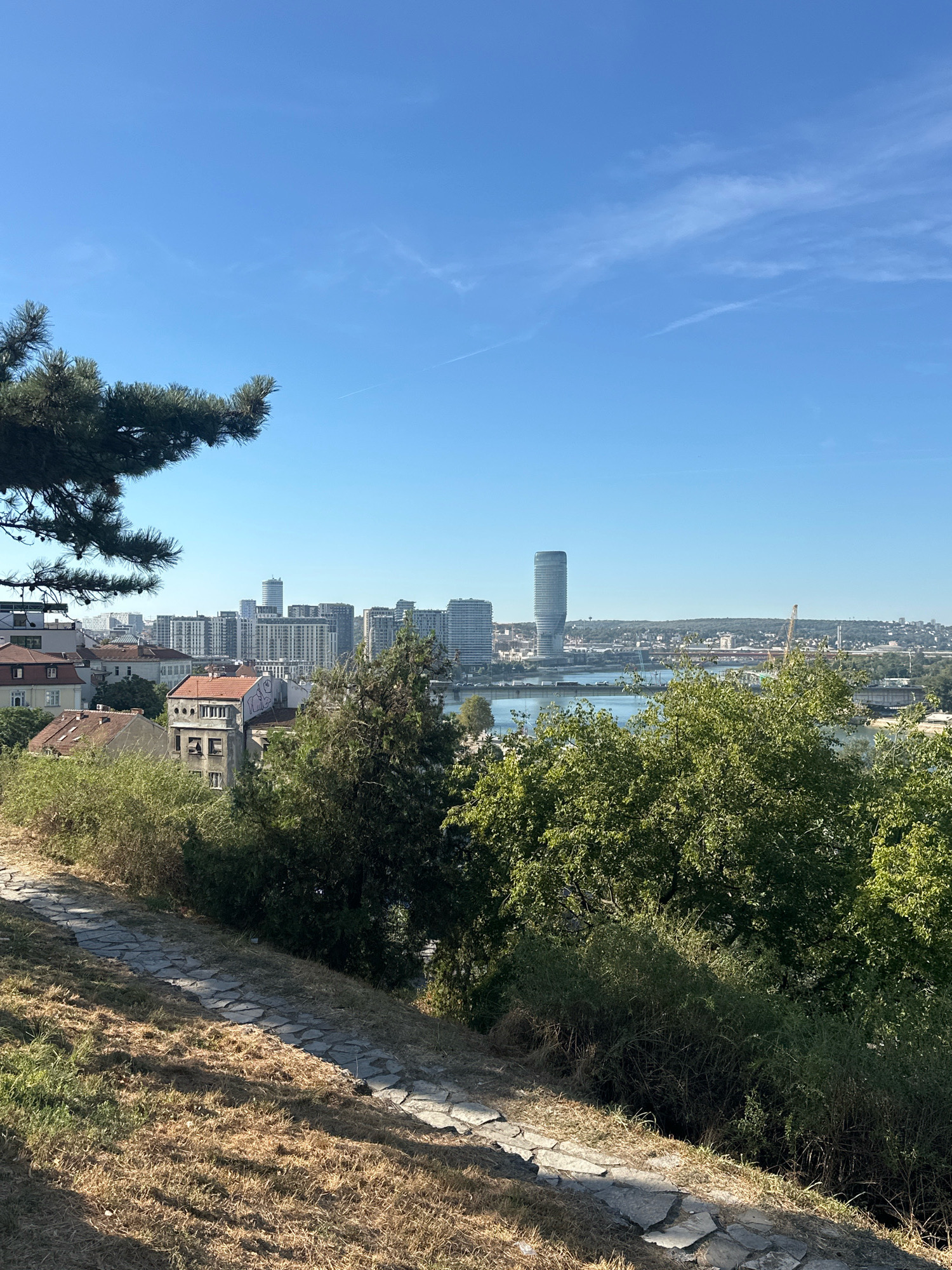 A bright, clear day in Belgrade, Serbia, is depicted in this image, taken from a high vantage point overlooking the city. The foreground features a winding stone path on a grassy slope, partially covered in dry, brown grass and interspersed with green tufts. Lush green trees and bushes flank the path and the slope, with a pine tree branch reaching into the upper left corner of the frame.
In the middle ground, a cluster of buildings with red tile roofs are visible, suggesting a residential area. Beyond these, a section of the Sava River separates the foreground from the main city skyline. The city skyline is dominated by modern, high-rise buildings, including a distinctive, tall, cylindrical skyscraper with a curved facade. Several other buildings of varying heights and architectural styles are scattered across the urban landscape. In the distance, more buildings and greenery are visible, and the faint outline of hills can be seen on the horizon. A bridge is also discernible spanning the river.
The sky is a vibrant blue with a few wispy white clouds and a faint contrail from an aircraft. The lighting indicates it is likely midday or early afternoon, with the sun casting shadows on the path and grass. No people are visible in the image. The scene conveys a sense of urban sprawl and the juxtaposition of older and modern architecture against a natural backdrop.