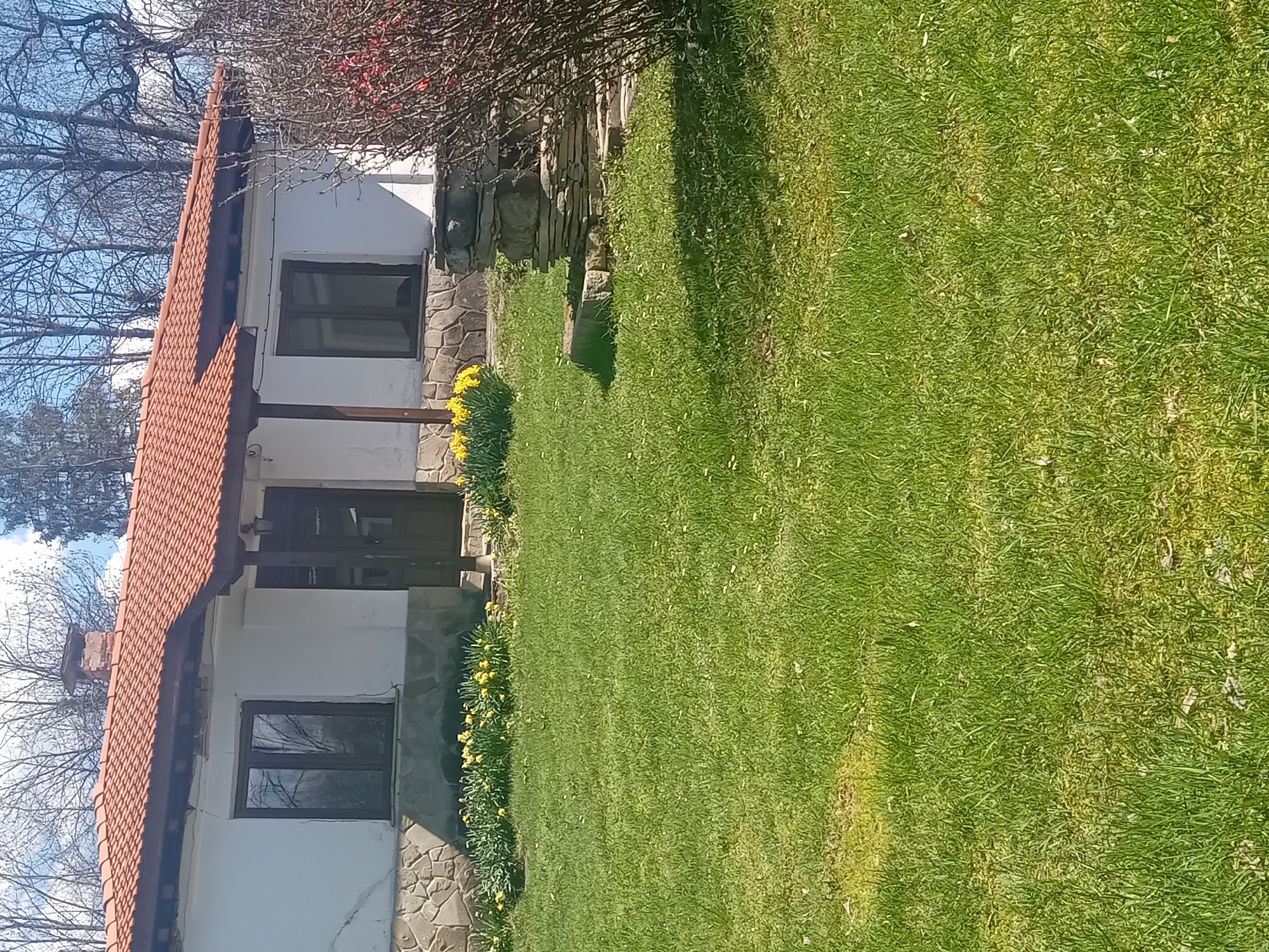The image shows a single-story house in an unknown city. The house has a red-tiled roof, white walls, and dark-framed windows. Stone accents are visible near the base of the walls. A line of yellow daffodils grows along the edge of the house. The house is surrounded by a green lawn, and some trees are visible in the background. The sky is blue with scattered clouds. The image is rotated 90 degrees clockwise.