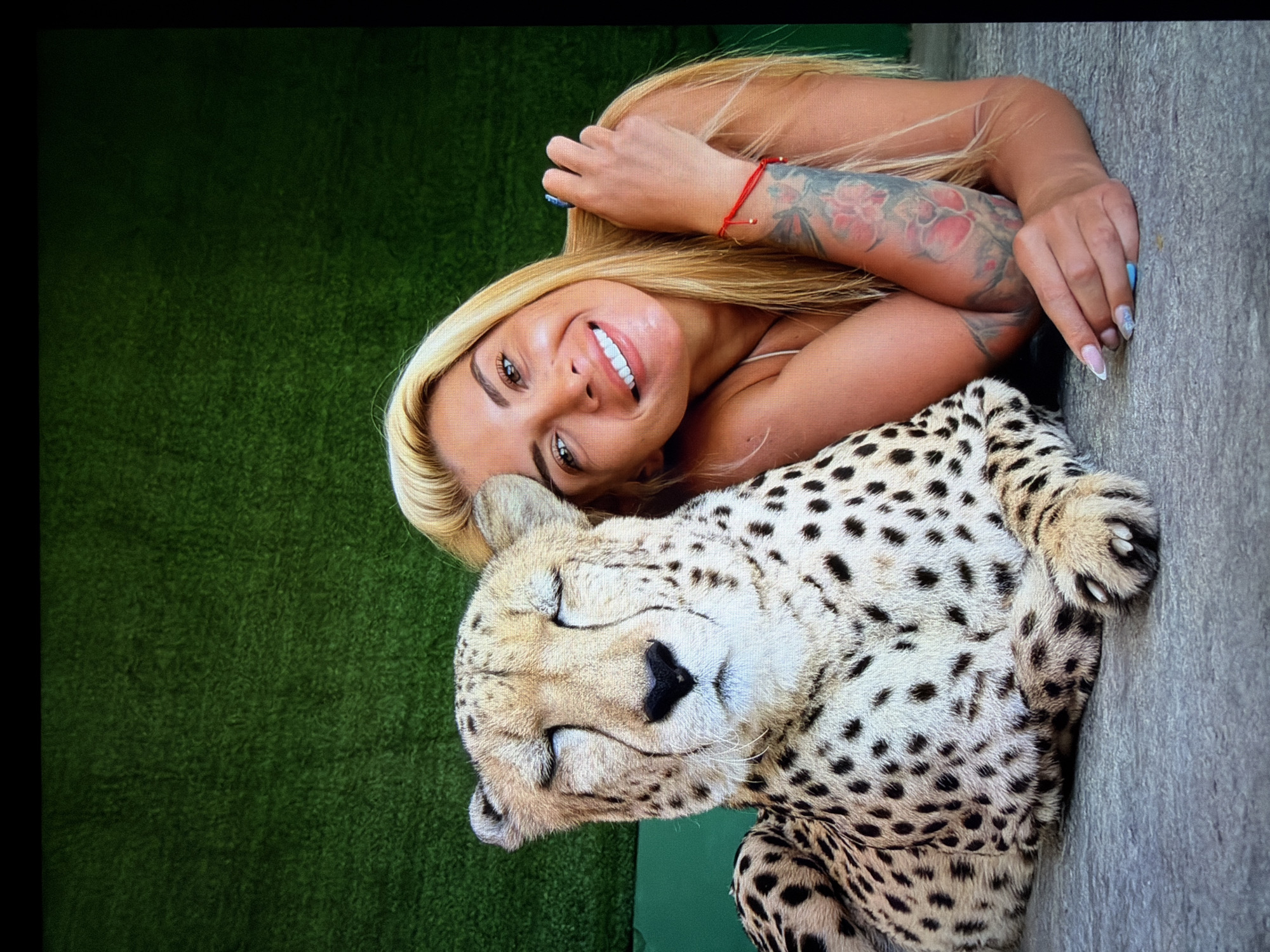 The image captures a young woman and a cheetah resting closely together, presented at an angle. The woman, with long blonde hair, lies with her head tilted towards the camera, displaying a wide, cheerful smile. She has light-colored eyes and wears what appears to be a strapless or off-the-shoulder top. Her right arm is visible, featuring colorful floral tattoos, predominantly in pinks and blues, and a thin red string bracelet on her wrist. Her fingernails exhibit a light blue and white French tip style.
Adjacent to her, a cheetah lies peacefully, eyes closed, suggesting it is asleep or calmly resting. The cheetah's distinctive coat of black spots against a light tan and white background is clearly visible. Its head is positioned near the woman's shoulder.
The setting features a bright green, short-pile surface, resembling artificial turf, on the left side of the frame, and a textured, grey, concrete-like surface on the right. The lighting is soft and even, highlighting the subjects without harsh shadows. The overall impression is one of a calm and gentle interaction between the woman and the large feline. No text is visible in the image. The event is taking place in Hamburg, Germany.