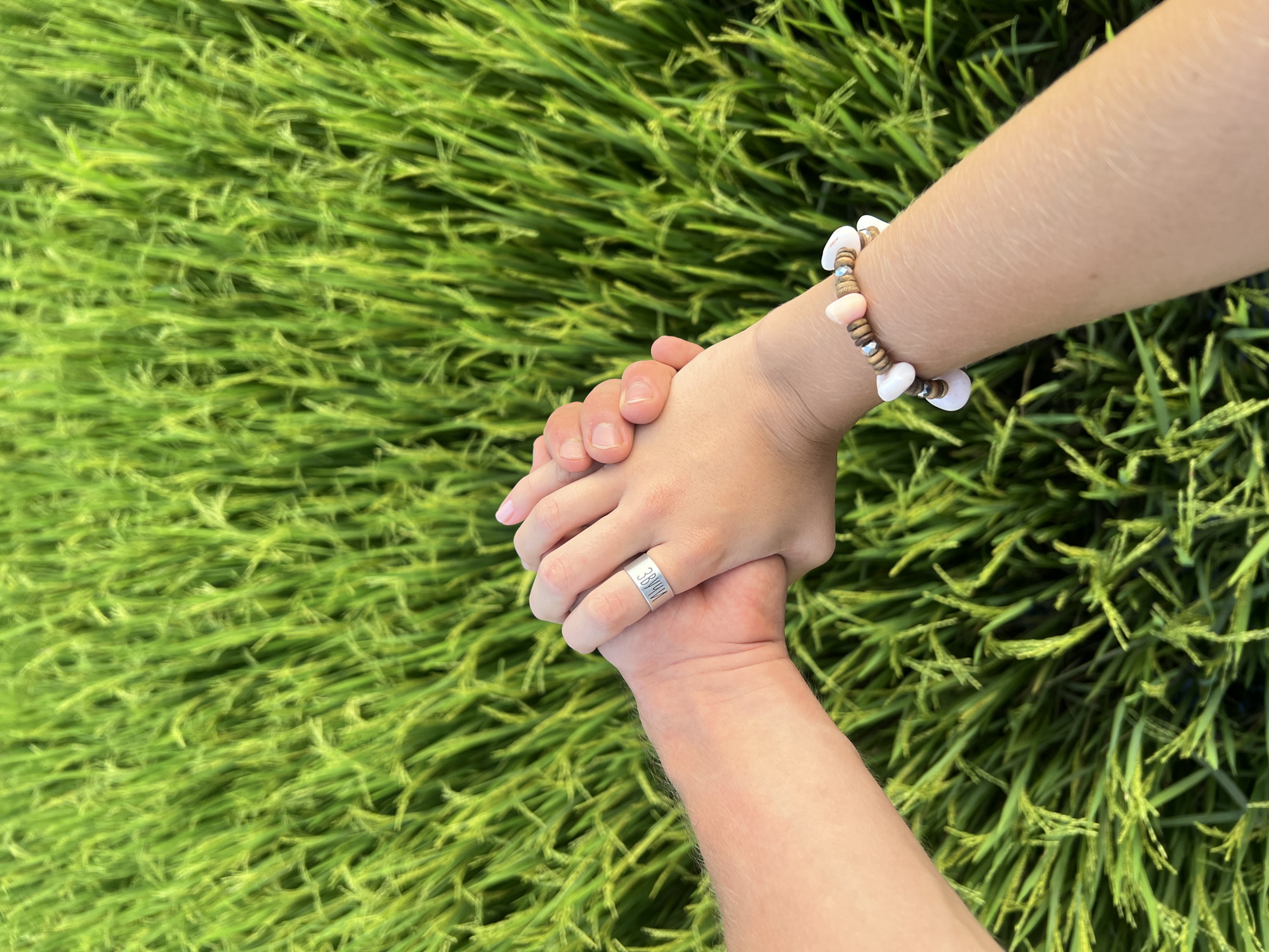 The image shows two arms and hands intertwined against a backdrop of bright green rice paddy. The background suggests the location is in the agricultural area near Diên Khánh, Vietnam, known for its rice cultivation.
One arm appears to be that of a younger person, the hand relatively small. The other arm seems to belong to an older person. The skin tones are similar. The older person is wearing a silver ring with numbers 333411 etched on it. The younger person is wearing a beaded bracelet.
The hands are grasping each other lightly, creating a tender moment between them. The background of green rice stalks provides a vivid and natural setting.