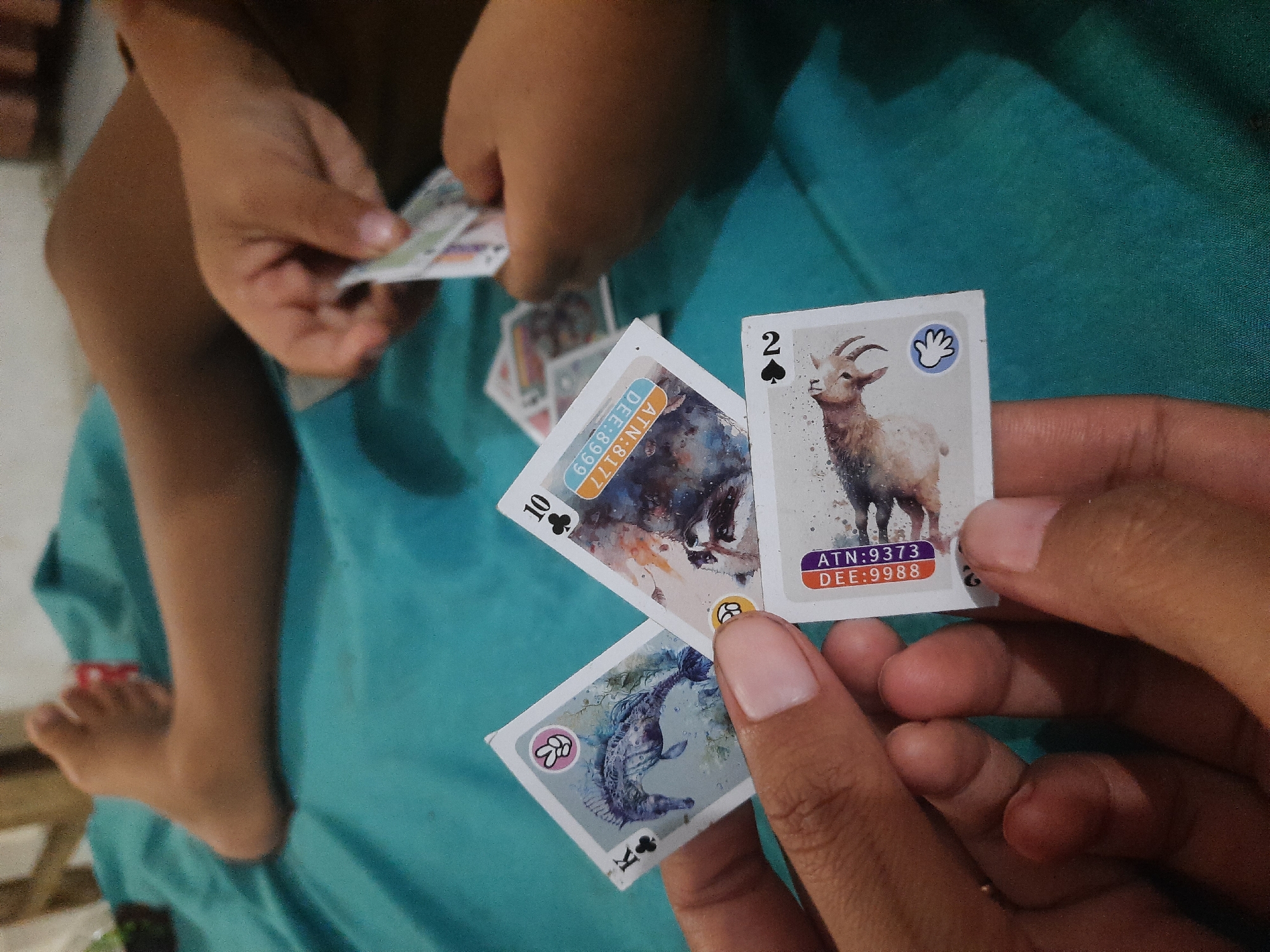 In Srowot, Indonesia, a close-up shot focuses on a pair of hands holding a collection of cards against a teal fabric background. In the background, a child's bare legs and feet are visible, indicating their presence. The cards feature animal illustrations and alphanumeric codes. One card shows a seahorse with a 'K' and a clover symbol, another depicts a wolf with a '10' and a clover symbol, and a third card displays a goat with a '2' and a spade symbol. Text on the cards includes "ATN:8177 DEE:8999" and "ATN:9373 DEE:9988". The hands are actively holding and interacting with these cards, suggesting a game or activity.