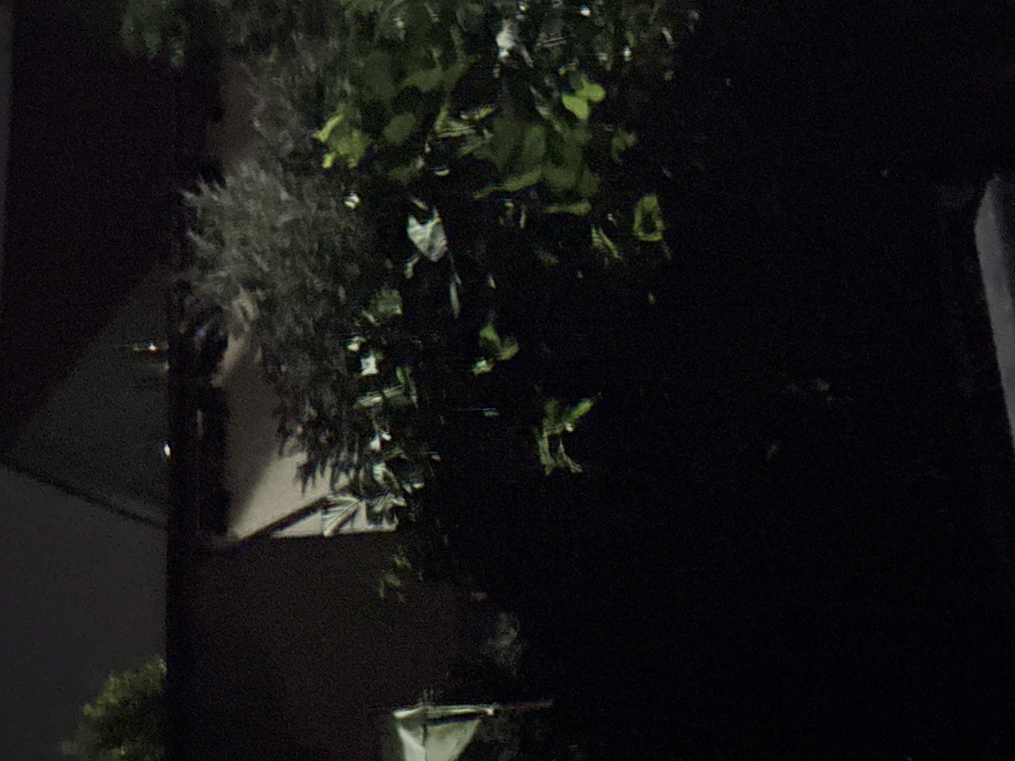 The image depicts a dimly lit scene with foliage and a building in the background. The foreground is dominated by dark shadows, making it difficult to discern specific details. The foliage appears dense, with some lighter green leaves interspersed among darker greenery. A structure with a dark, sloped roof is visible in the upper portion of the image, partially obscured by trees. The overall impression is one of an outdoor setting at night or in very low light conditions. The image lacks any clear indication of human presence or activity. The location in Vostok, Kyrgyzstan is not discernible from the visual information provided in the image.