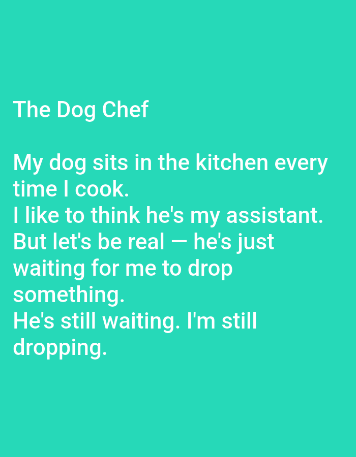 The image shows a poem titled "The Dog Chef" against a teal background. The poem reads: "My dog sits in the kitchen every time I cook. I like to think he's my assistant. But let's be real - he's just waiting for me to drop something. He's still waiting. I'm still dropping." There are no people, subjects, objects, actions, or interactions visible, and the environment is a plain, solid color. This image is not located in the city of Kępno, Poland.