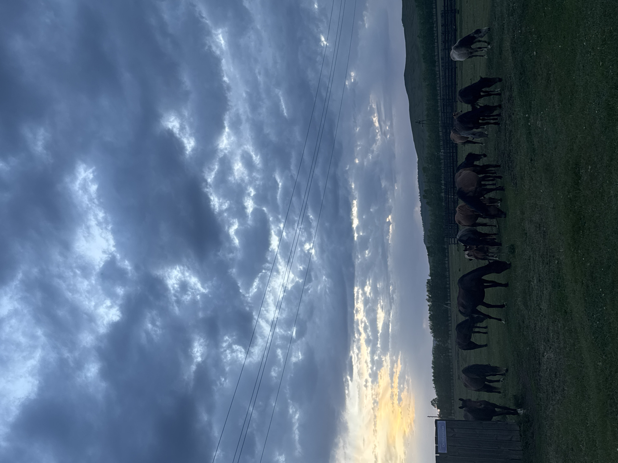 The image shows a herd of horses grazing in a field near Нижний Бургалтай, Russia. The sky is filled with dark, cloudy skies and the horizon shows a hint of yellow. A line of trees is on the right of the field, and some powerlines are in the sky.