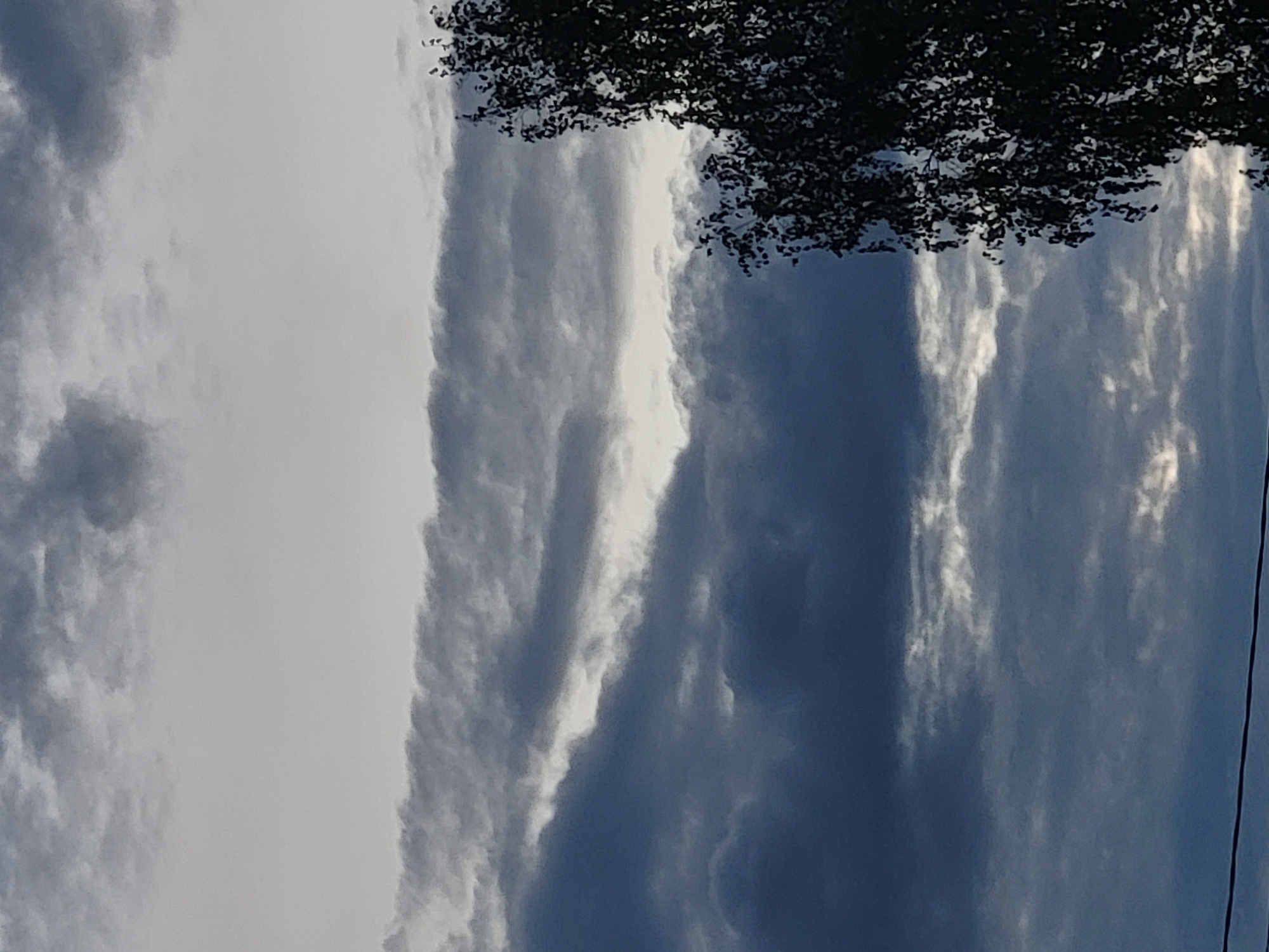 The image is a medium shot of a cloudy sky with a tree silhouette on the right. The clouds are dark and layered, with some lighter patches indicating breaks or thinner cloud cover. The tree is a dark silhouette against the sky, with its branches and leaves clearly visible. The overall mood of the image is somber and overcast. The location is described as Unknown, Unknown.