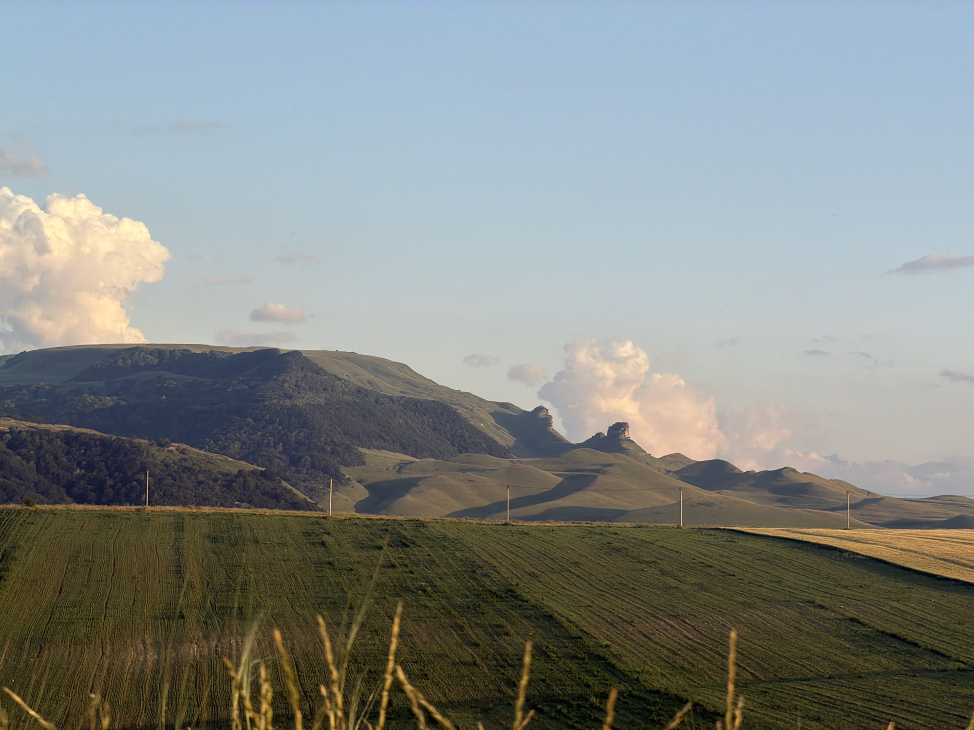 This image depicts a vast, rolling landscape under a partly cloudy sky. In the foreground, a neatly tilled green field dominates the lower portion of the frame, with rows of crops clearly visible. Tall, dry grasses or stalks are blurred in the immediate foreground, adding a sense of depth.
Beyond the tilled field, the terrain transitions to gently sloping hills, some covered in vegetation and others appearing bare and rounded. These hills cast long, dramatic shadows, suggesting it is either early morning or late afternoon. In the middle ground, two solitary, thin poles stand upright, spaced apart, possibly indicating a fence line or power source.
Further in the distance, a range of larger mountains rises, their peaks rugged and distinctive, with one featuring a prominent rock formation that resembles a human head. The sky is a soft blue, with scattered clouds, some of which are large and puffy and illuminated by the sun, appearing white and tinged with pink from the golden hour light. The overall mood is serene and natural, evoking a sense of peacefulness and the grandeur of the outdoors. The location is not identifiable from the image. There is no visible text.
