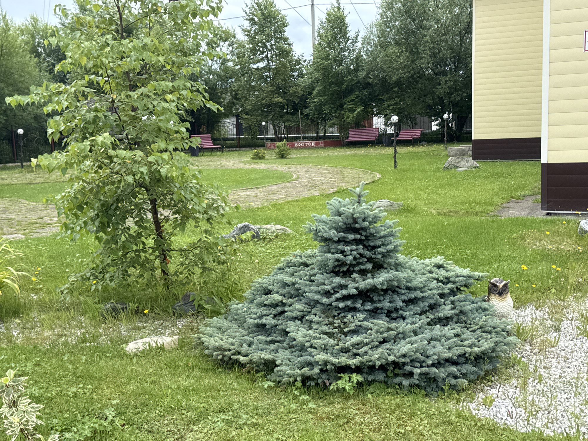 The image depicts an outdoor scene with a prominent blue spruce tree in the foreground, situated on a well-maintained lawn. Behind the spruce, a tall deciduous tree with green leaves stands to the left. In the middle ground, a winding paved path leads through the grass, and several red park benches are visible. A sign with the Cyrillic word "ВОСТОК" is planted in the ground near the path. The background features a building with yellow siding and a dark brown base, flanked by trees. An owl figurine is placed among white pebbles to the right of the blue spruce. The environment appears to be a park or a public outdoor space in the city of Poronaysk, Russia, likely during daylight hours given the lighting. There are no people or animals visible in the frame, except for the owl figurine.